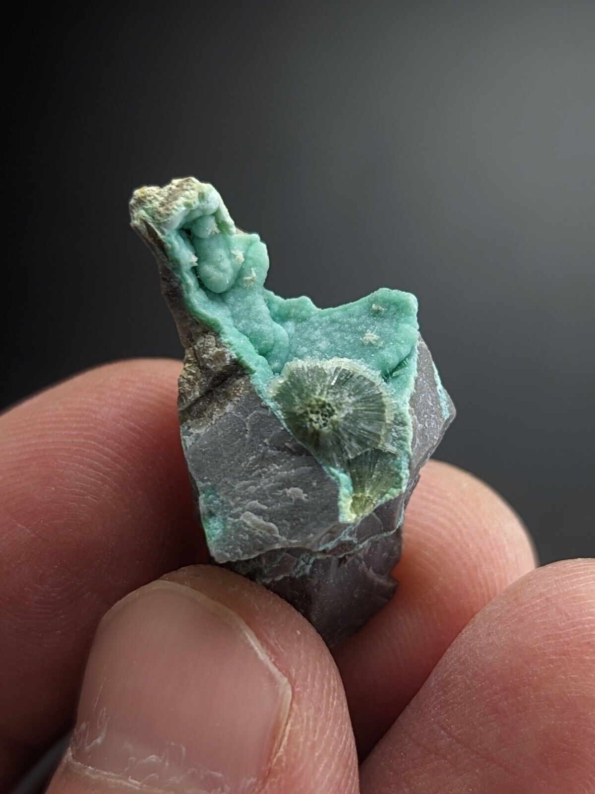 Rare Wavellite on Rashleighite Polk County Arkansas Old Stock ex Delinde - Collectibles:Rocks Fossils &
