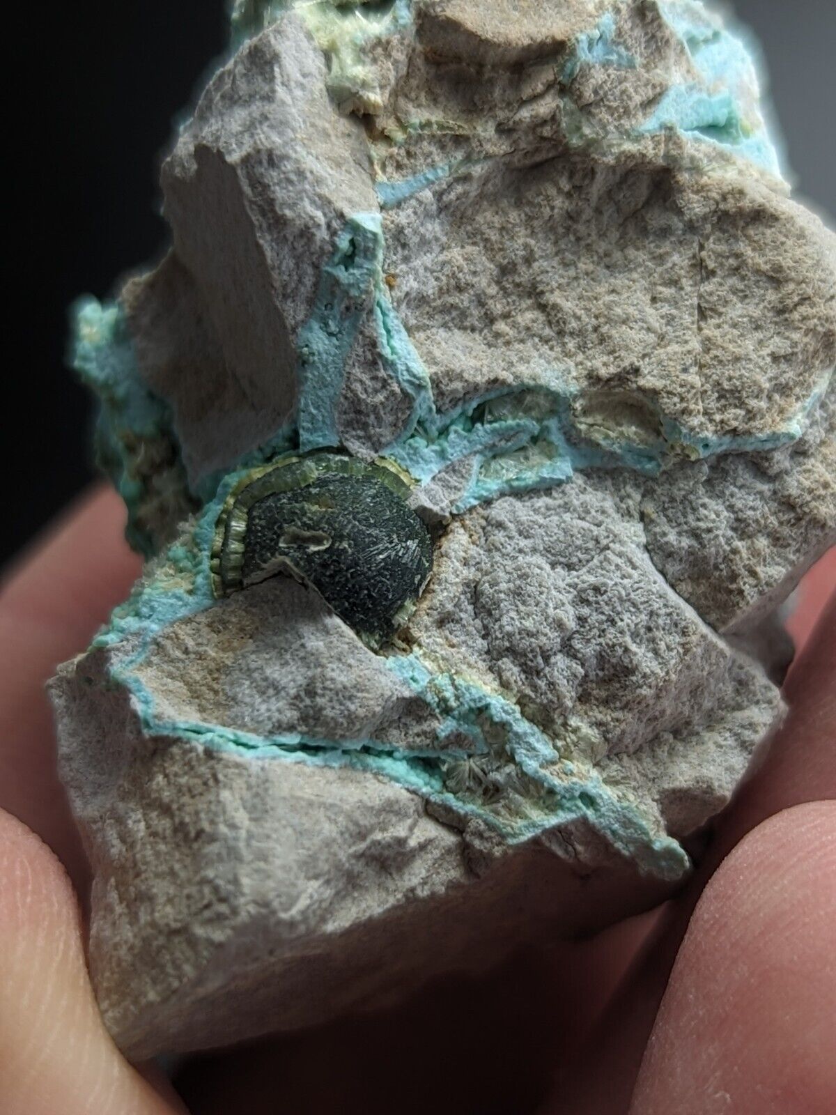 Rare Wavellite on Rashleighite Polk County Arkansas Old Stock ex Delinde - Collectibles:Rocks Fossils &