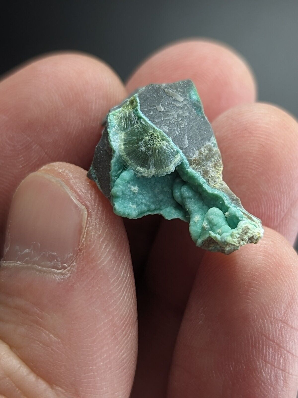 Rare Wavellite on Rashleighite Polk County Arkansas Old Stock ex Delinde - Collectibles:Rocks Fossils &