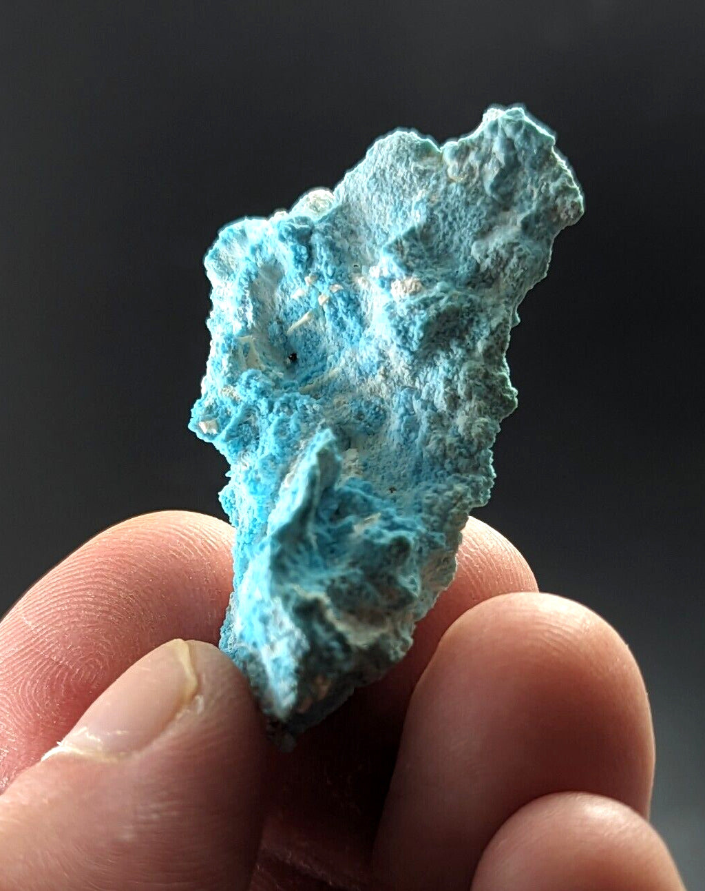 Raw Turquoise from Porter Mountain Polk County Arkansas - ex Henry Delinde - Collectibles:Rocks Fossils &