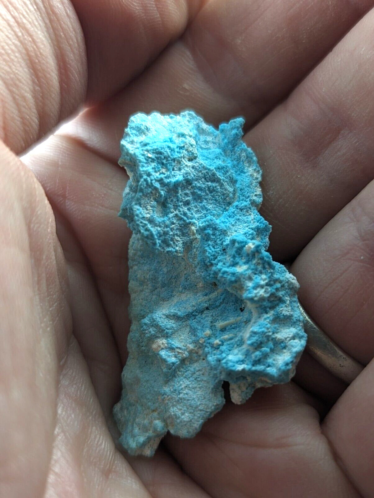 Raw Turquoise from Porter Mountain Polk County Arkansas - ex Henry Delinde - Collectibles:Rocks Fossils &