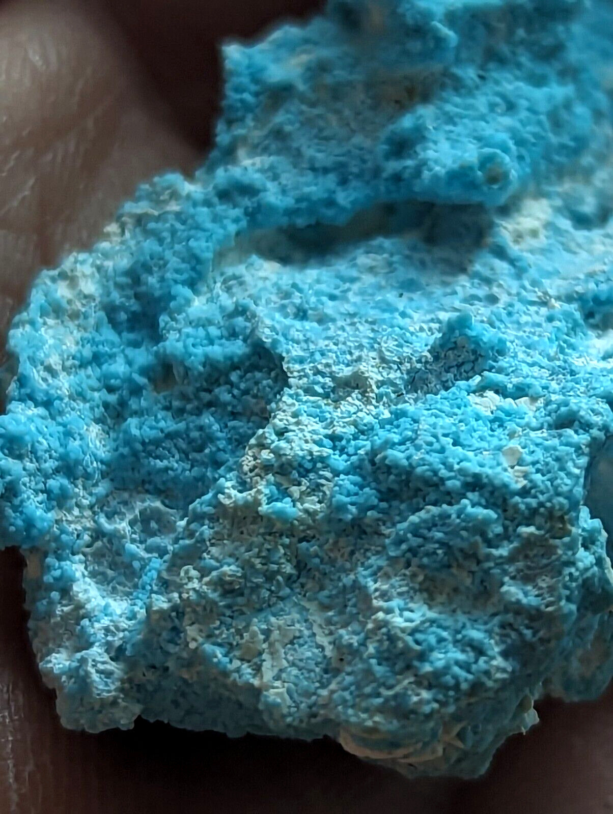 Raw Turquoise from Porter Mountain Polk County Arkansas - ex Henry Delinde - Collectibles:Rocks Fossils &