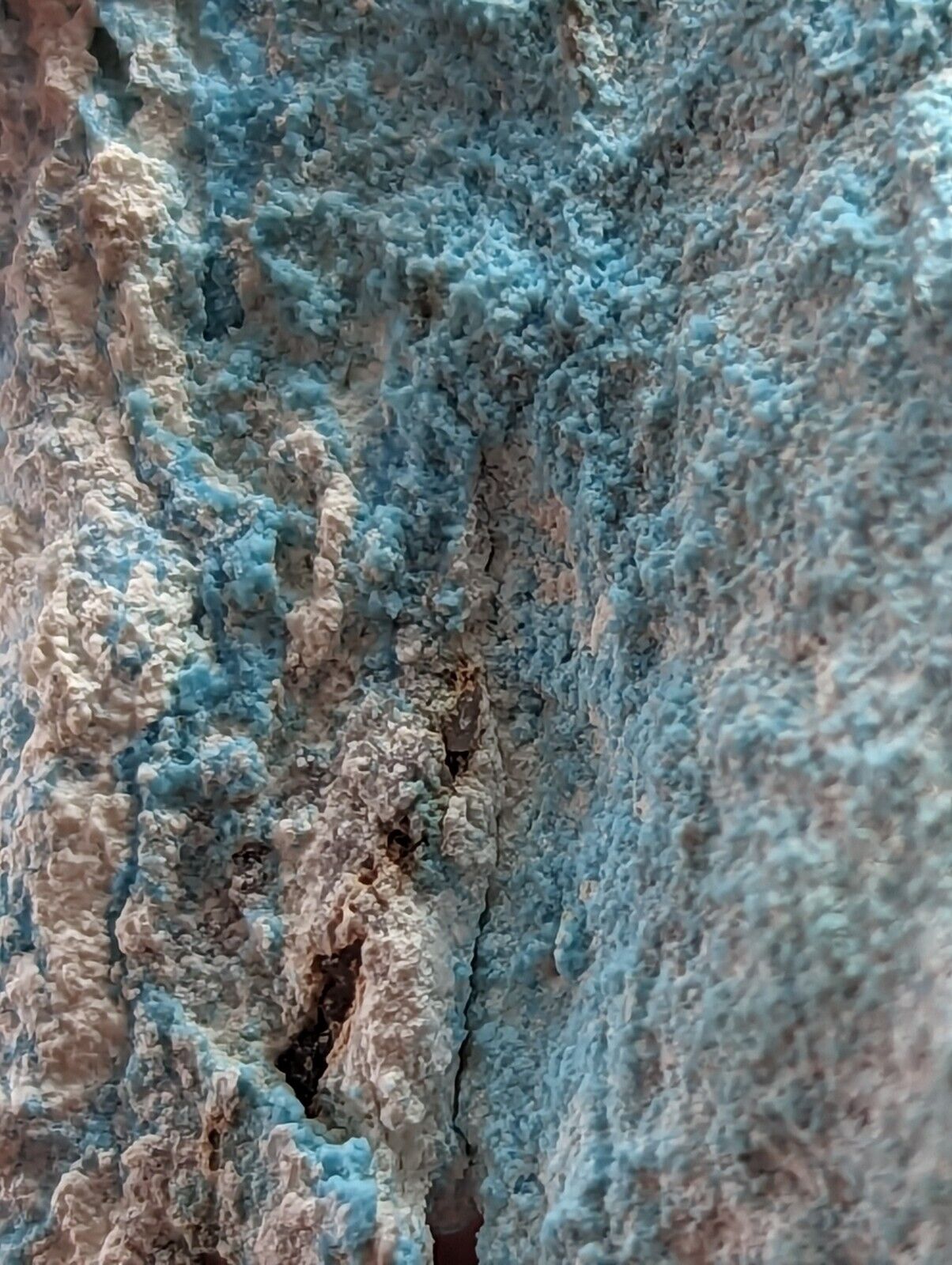 Raw Turquoise from Porter Mountain Polk County Arkansas - ex Henry Delinde - Collectibles:Rocks Fossils &