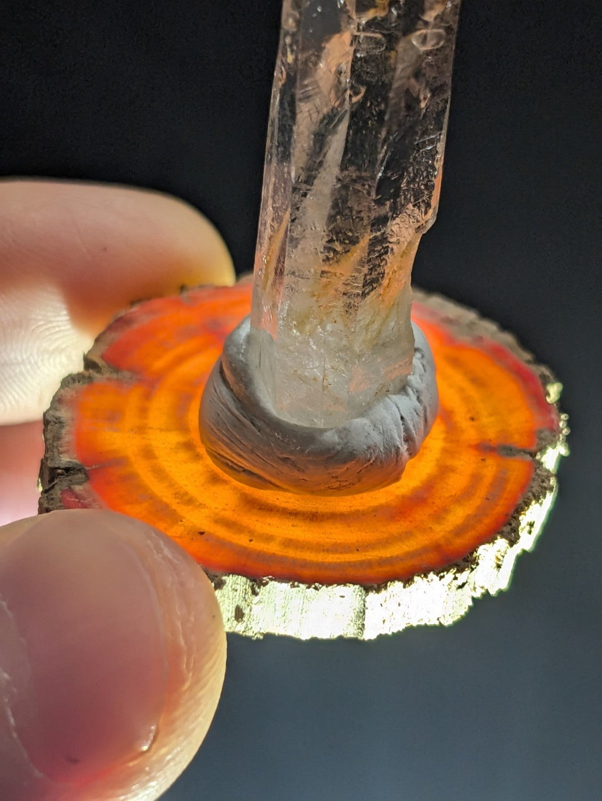 A clear quartz crystal stands upright on a circular, orange-hued wood slice base with visible growth rings and rough edges.