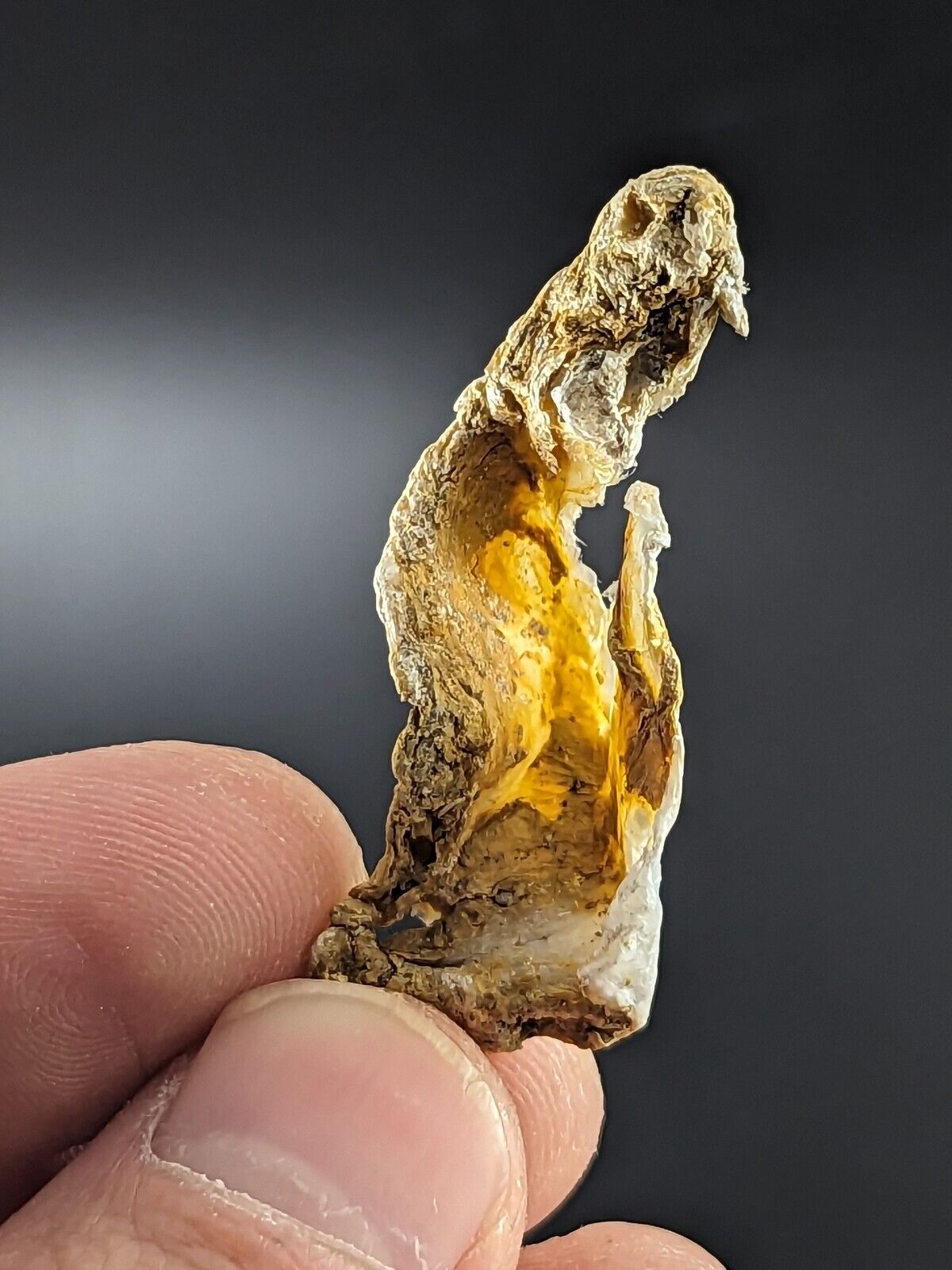 Rectorite ’specimen’ example Ultra Rare Jeffrey Quarry Arkansas Old Stock - Collectibles:Rocks Fossils &