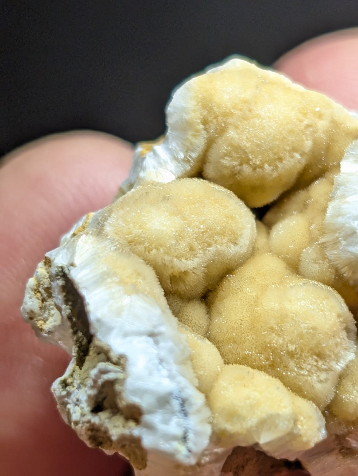 A cluster of pale yellow, fuzzy-textured mineral formations nestled within a white crystalline matrix.