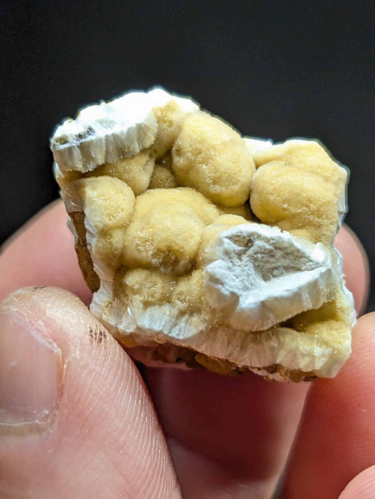 A hand holds a yellowish, rounded mineral specimen with white crystalline formations.