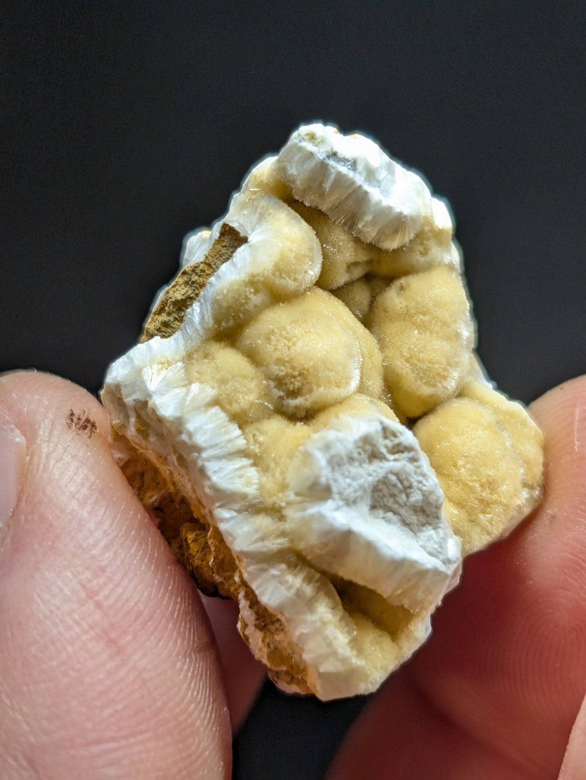 A pale yellow and white mineral specimen with rounded, bulbous formations encased in a crystalline matrix.