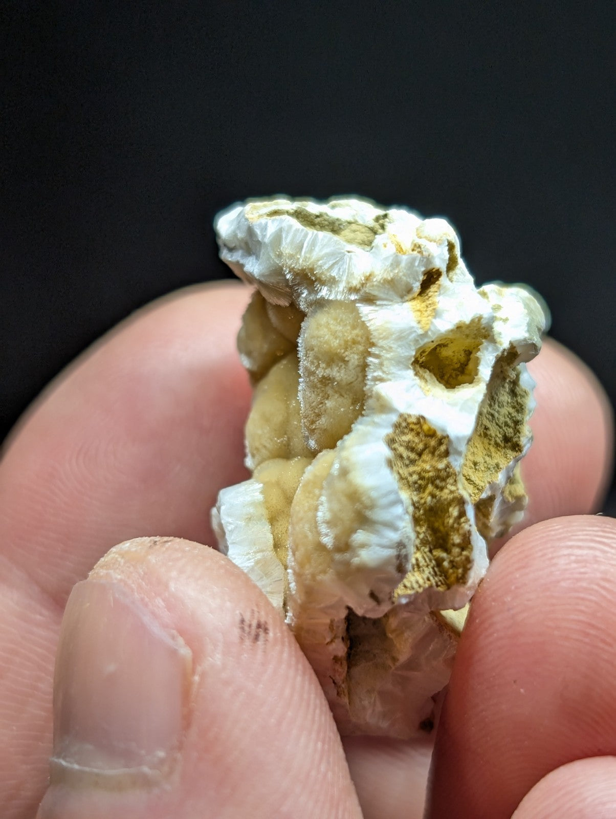 A textured, white and golden mineral specimen with a rough, layered surface held gently in fingers.