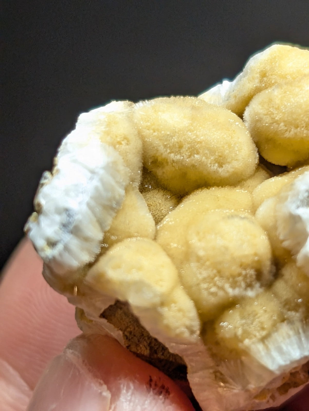 A cluster of pale yellow and white, fuzzy-textured mineral formations with rounded, bulbous shapes.