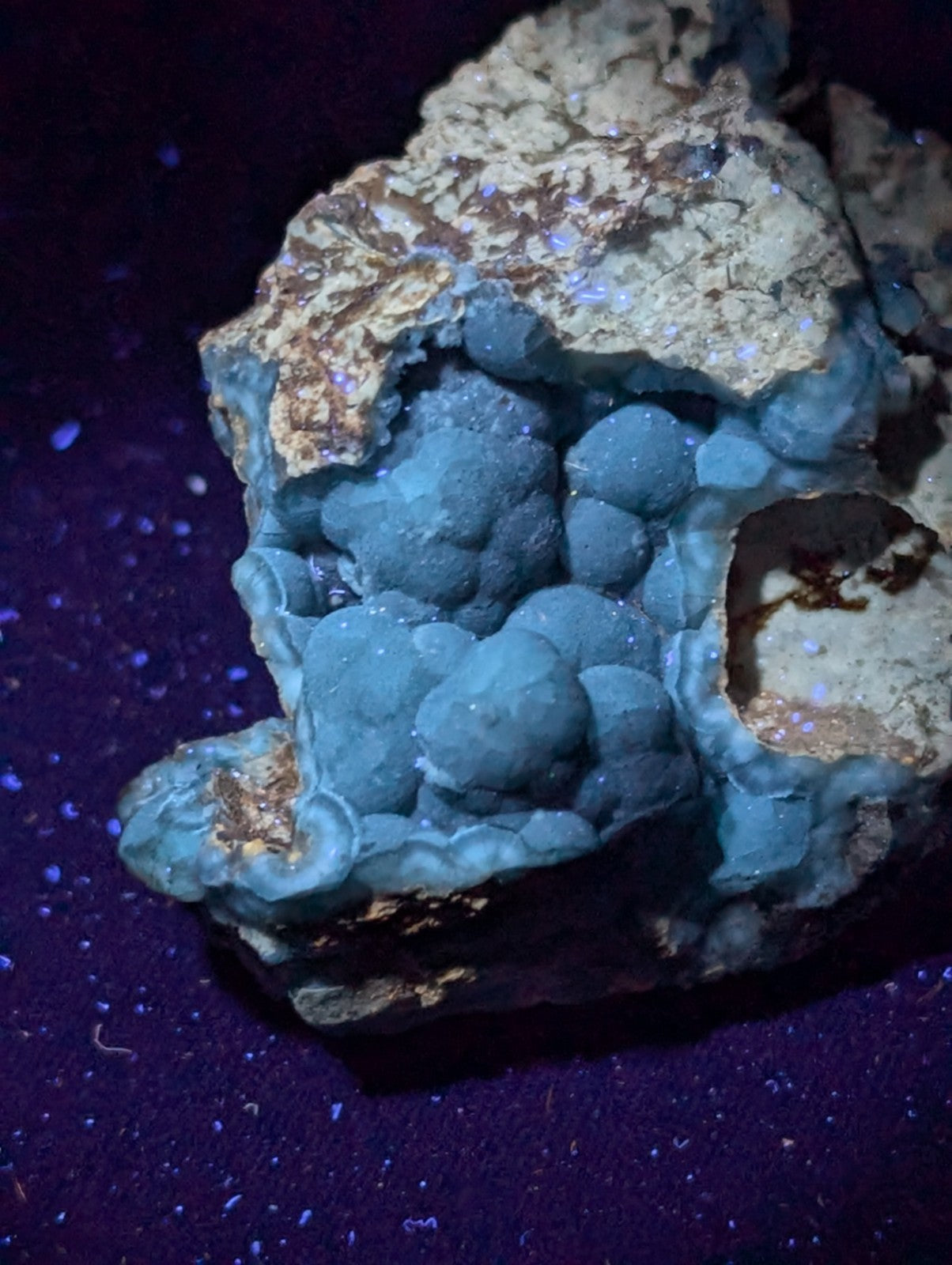 A striking turquoise-blue mineral specimen with a textured, bubbly surface and earthy brown matrix.
