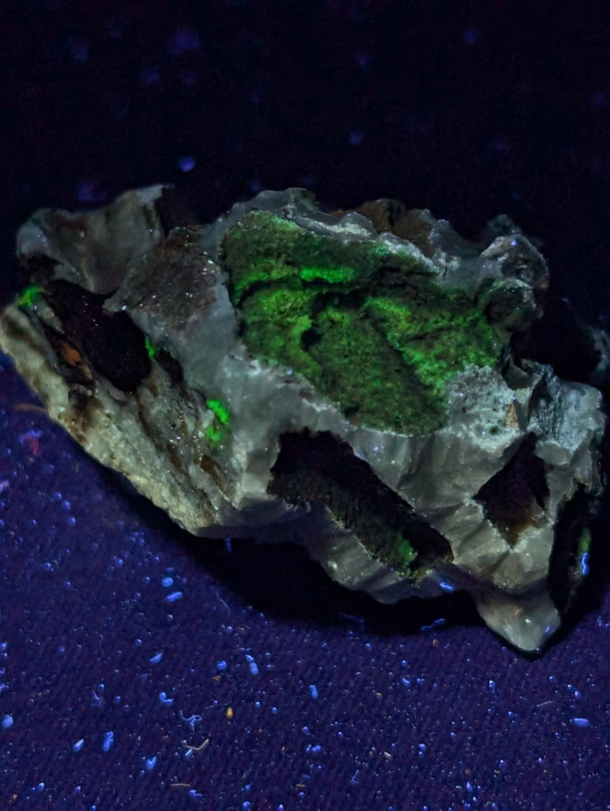 A rugged, irregularly shaped mineral specimen with a grayish matrix and vibrant green fluorescent patches under blacklight.