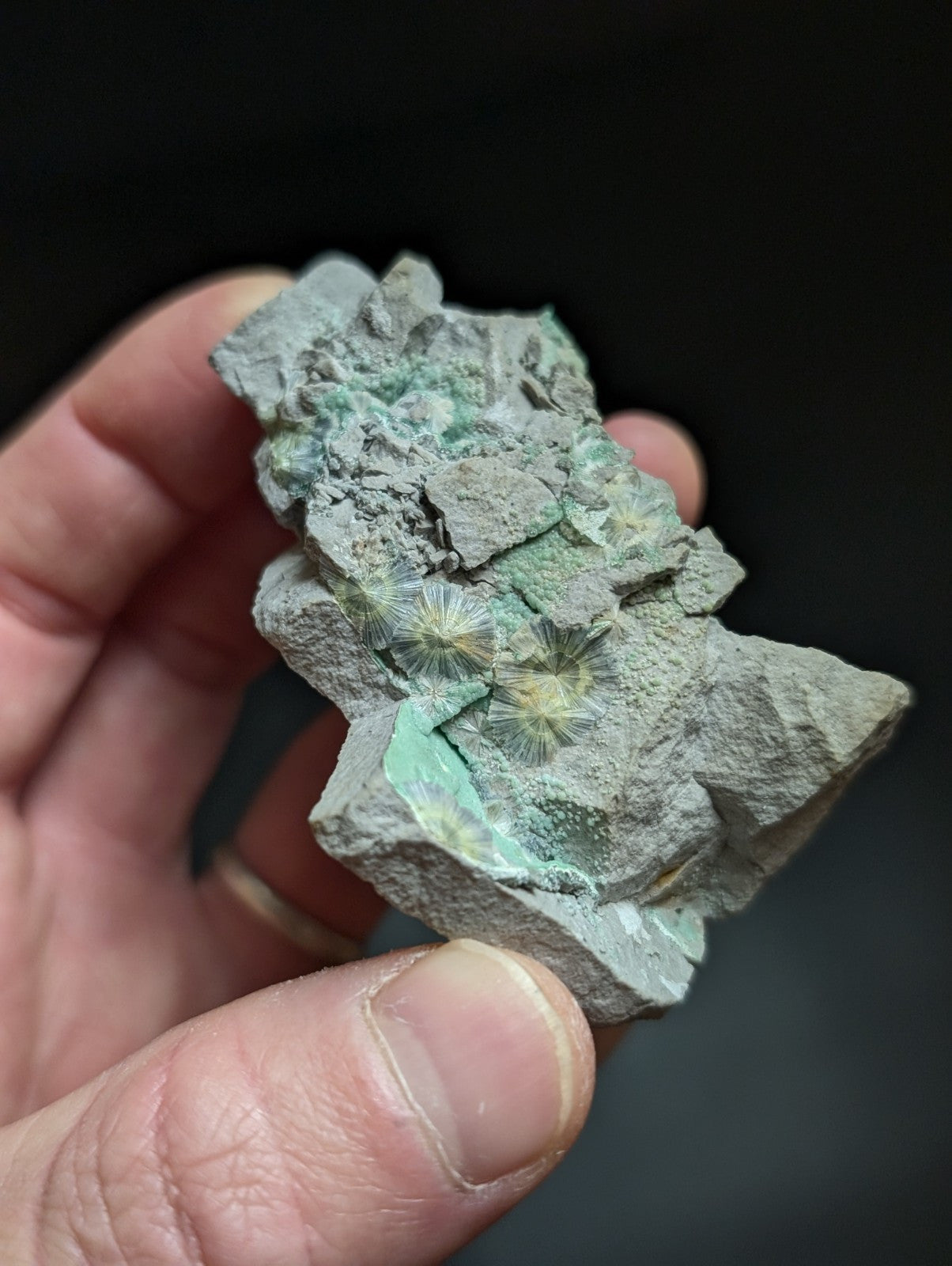 RESERVED FOR MICHAEL****Blue Wavellite on Variscite! -Very Rare Old Stock - Garland County Arkansas
