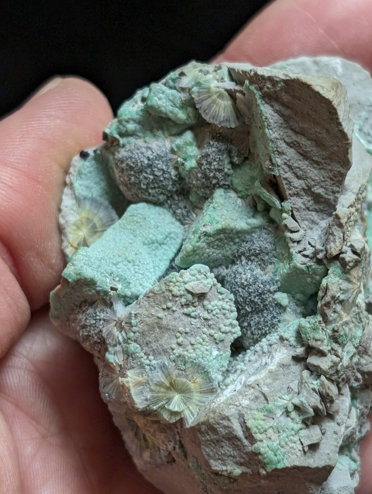 RESERVED FOR MICHAEL****Blue Wavellite on Variscite! -Very Rare Old Stock - Garland County Arkansas