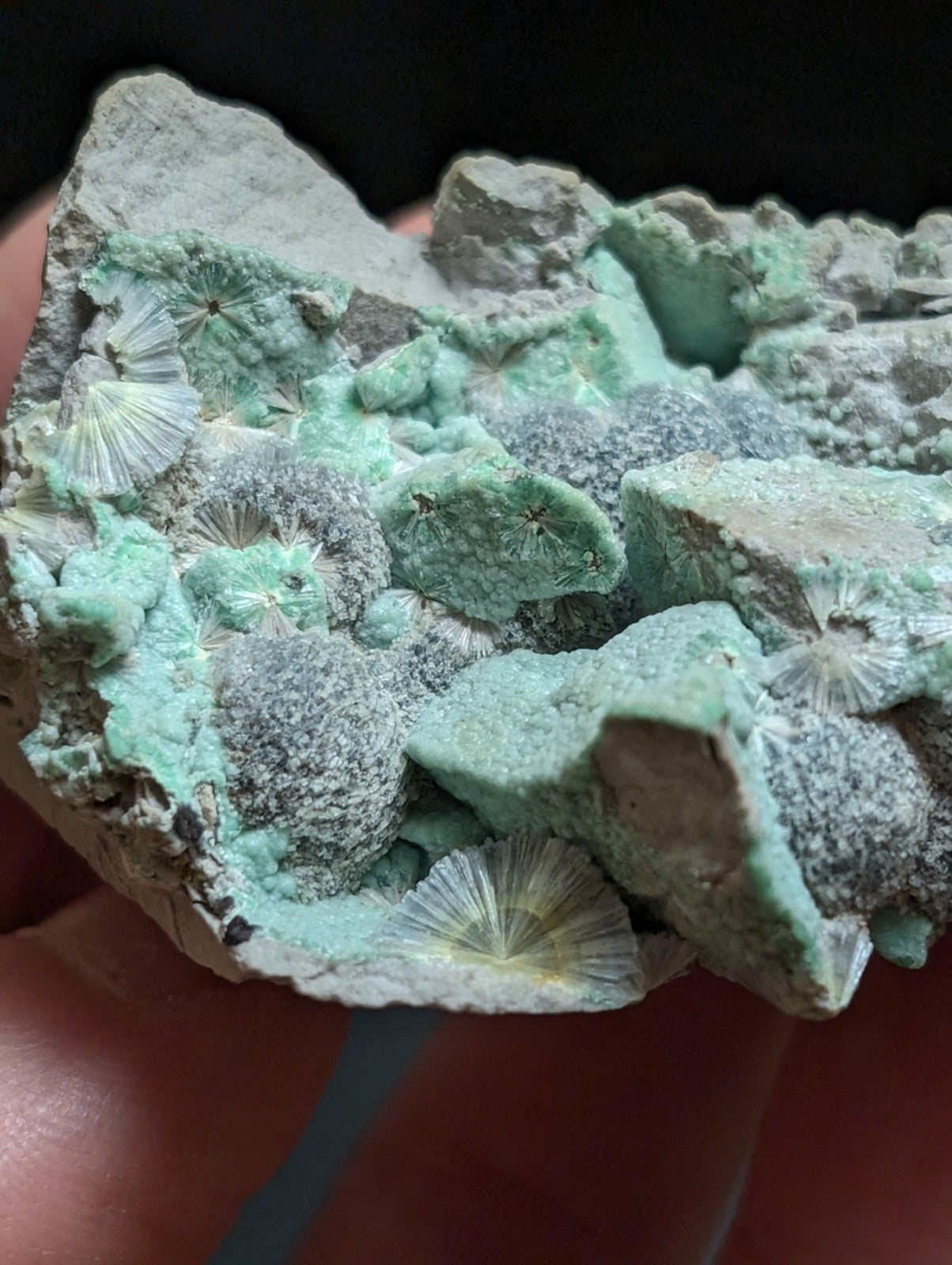 RESERVED FOR MICHAEL****Blue Wavellite on Variscite! -Very Rare Old Stock - Garland County Arkansas