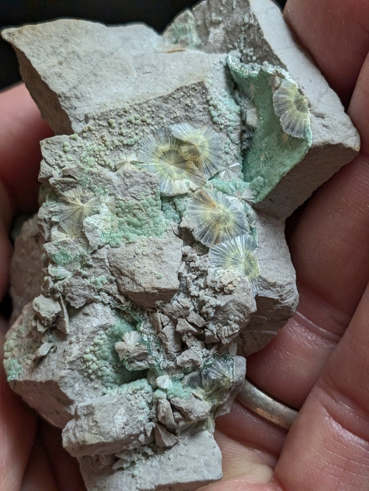 RESERVED FOR MICHAEL****Blue Wavellite on Variscite! -Very Rare Old Stock - Garland County Arkansas