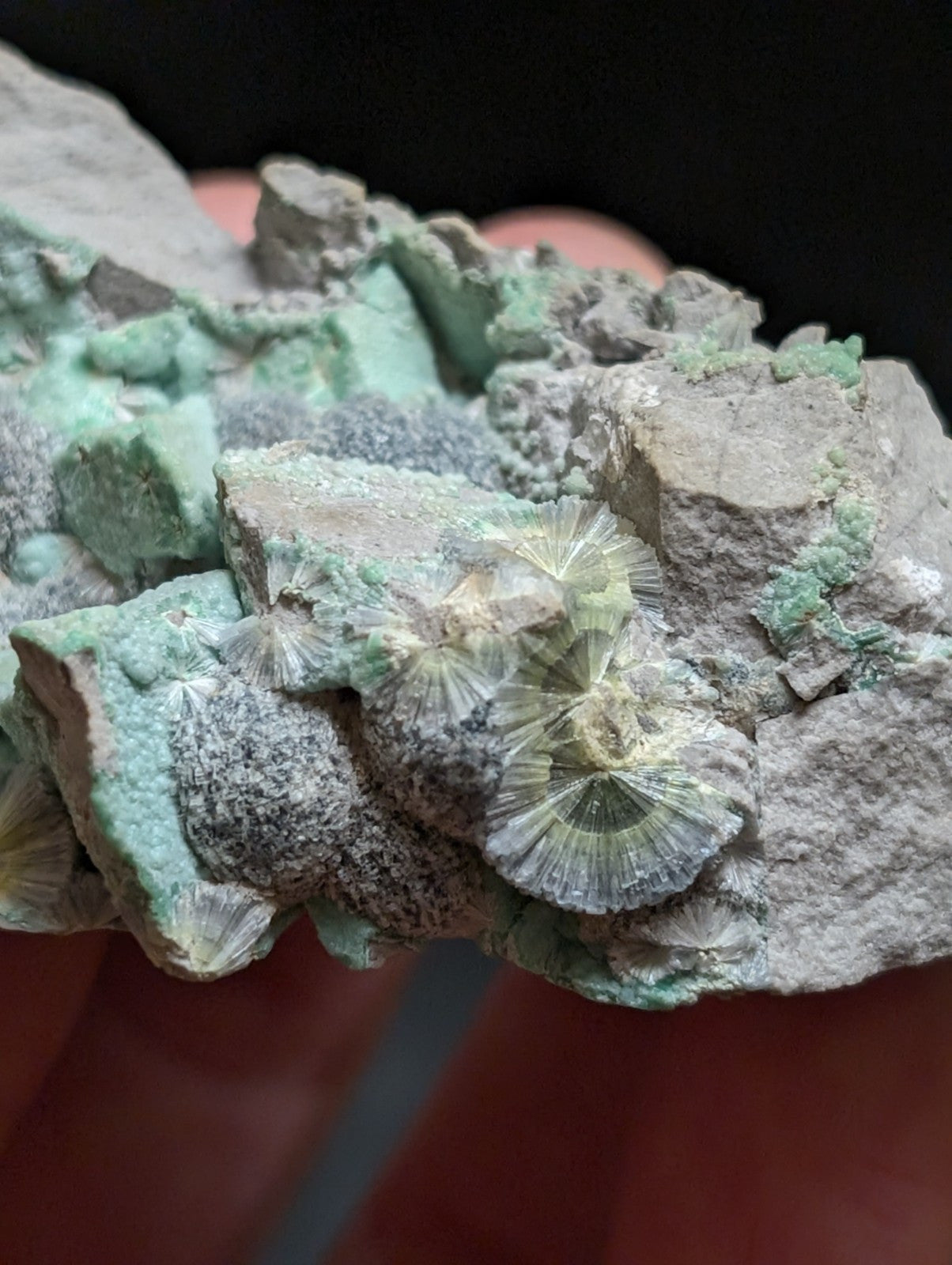 RESERVED FOR MICHAEL****Blue Wavellite on Variscite! -Very Rare Old Stock - Garland County Arkansas