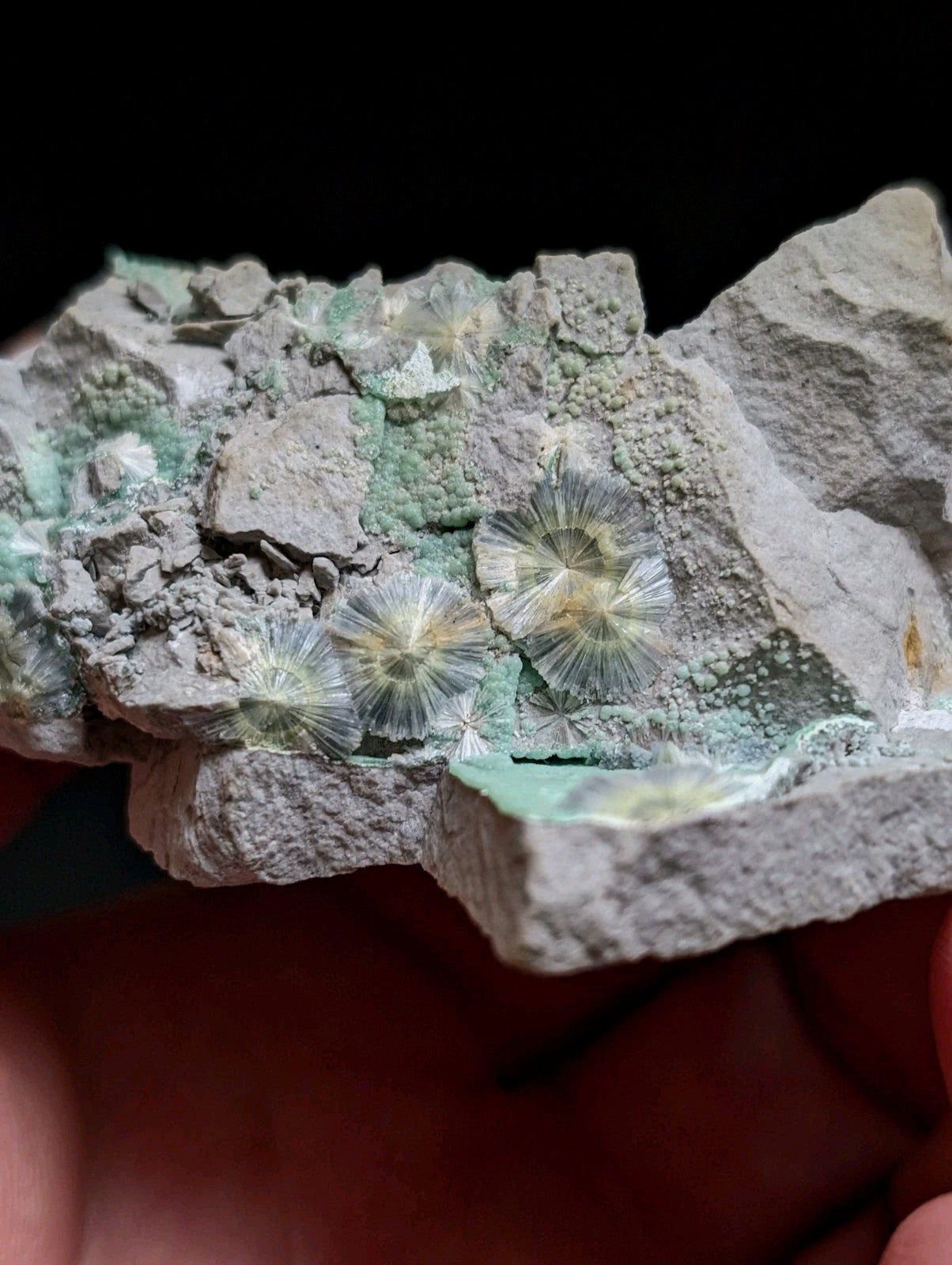 RESERVED FOR MICHAEL****Blue Wavellite on Variscite! -Very Rare Old Stock - Garland County Arkansas