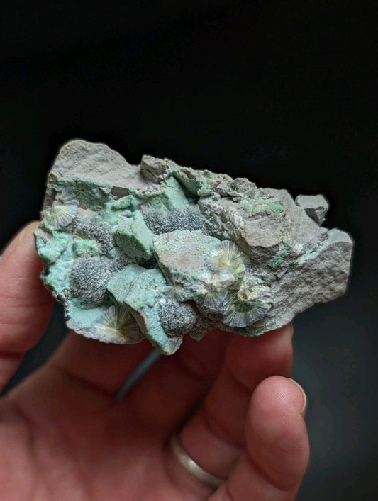 RESERVED FOR MICHAEL****Blue Wavellite on Variscite! -Very Rare Old Stock - Garland County Arkansas