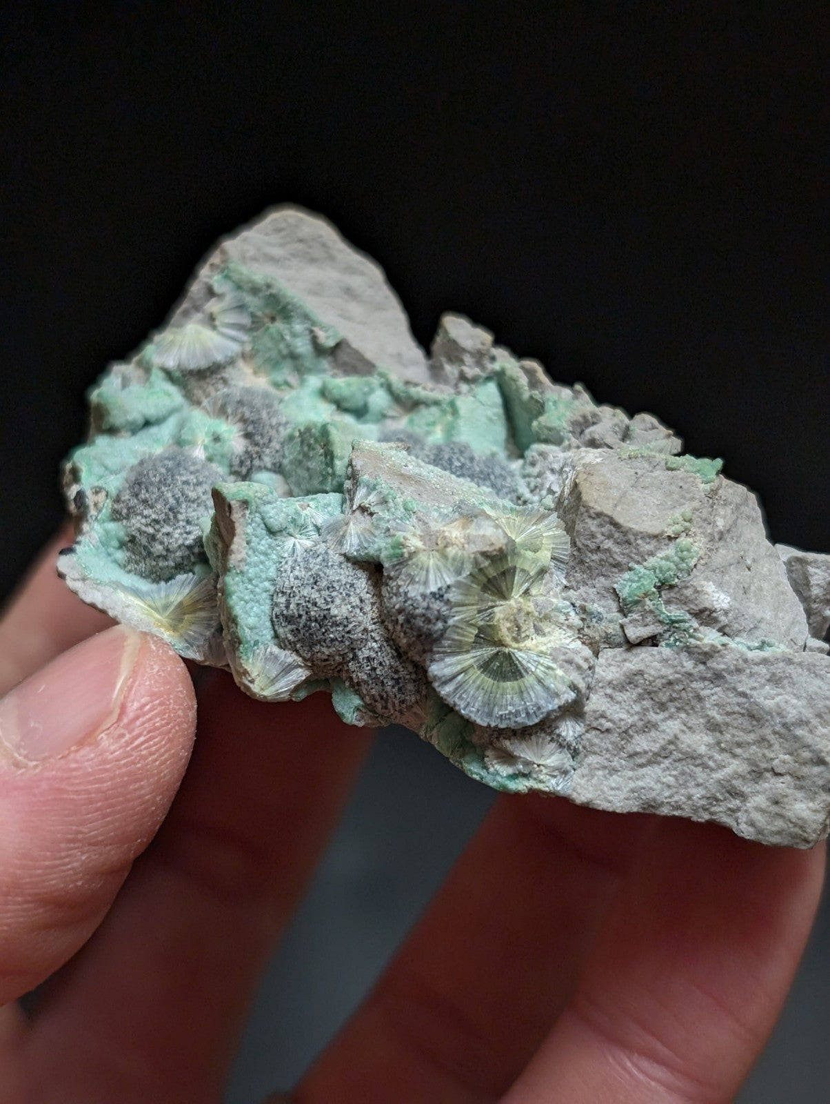 RESERVED FOR MICHAEL****Blue Wavellite on Variscite! -Very Rare Old Stock - Garland County Arkansas