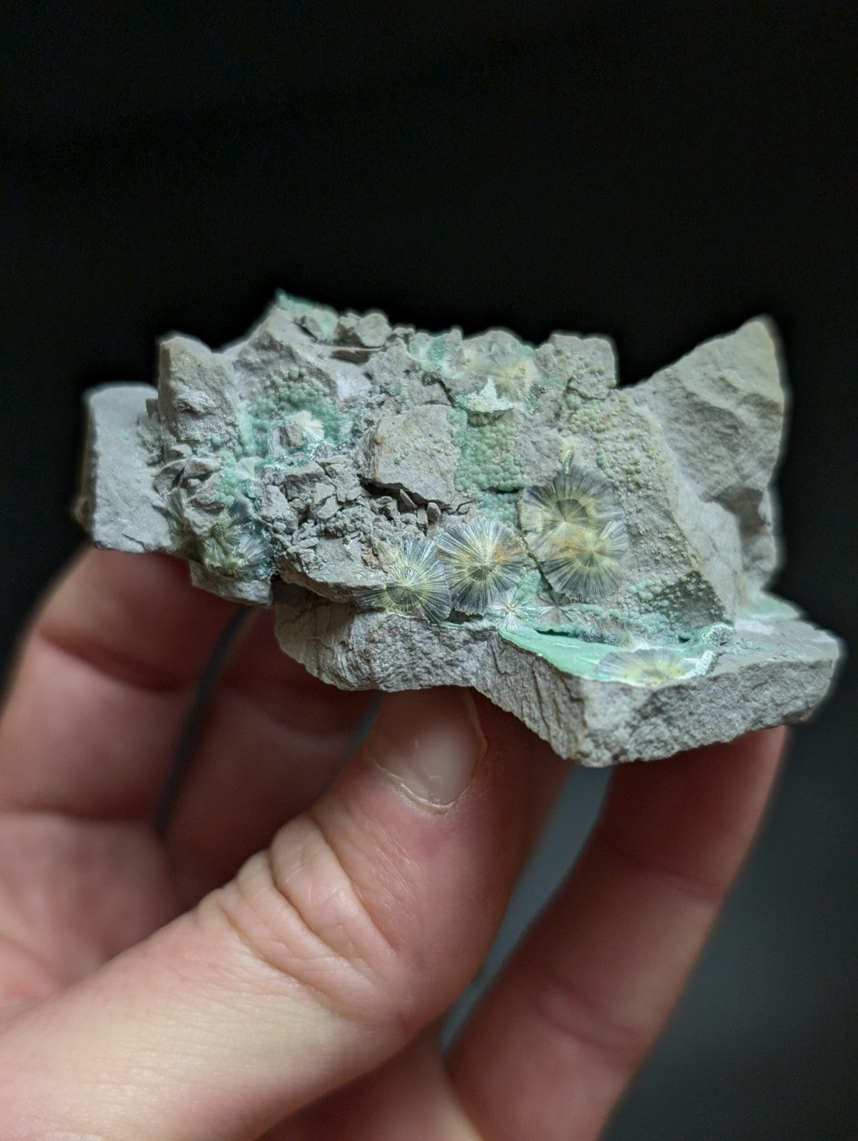 RESERVED FOR MICHAEL****Blue Wavellite on Variscite! -Very Rare Old Stock - Garland County Arkansas