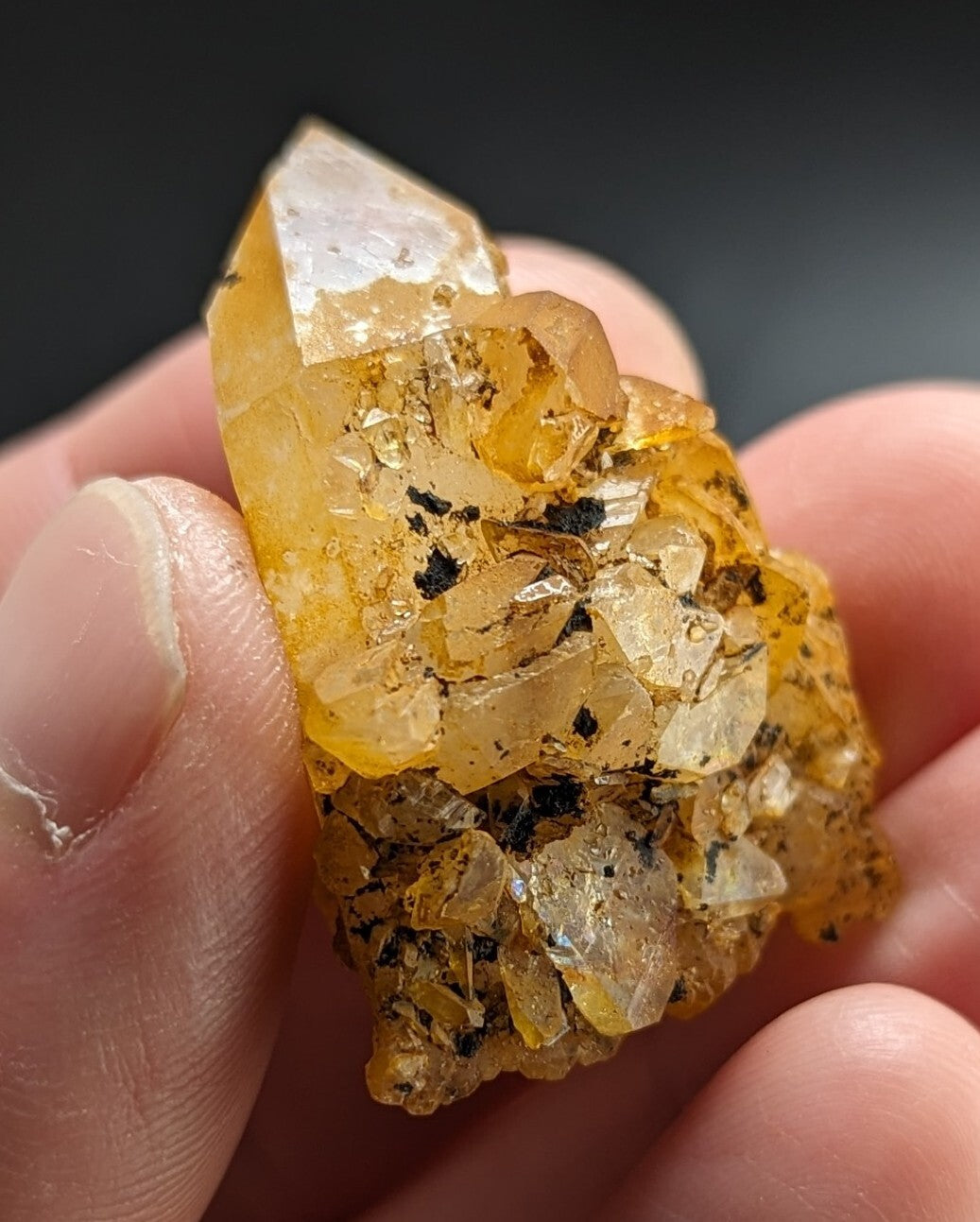 A translucent golden-yellow crystal cluster with black inclusions, held gently between fingers.