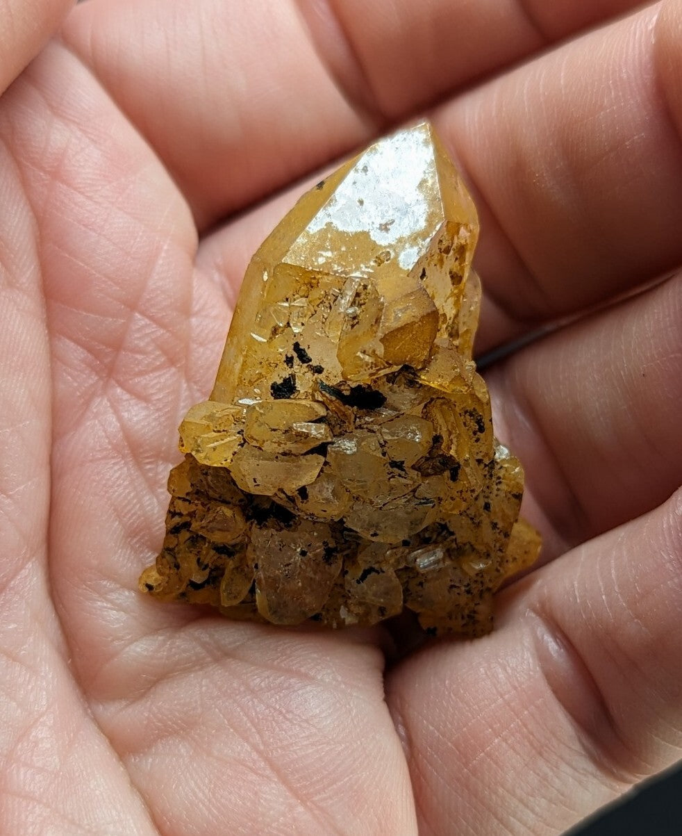 A translucent golden-yellow crystal with a pointed tip and embedded dark inclusions, held gently in an open palm.