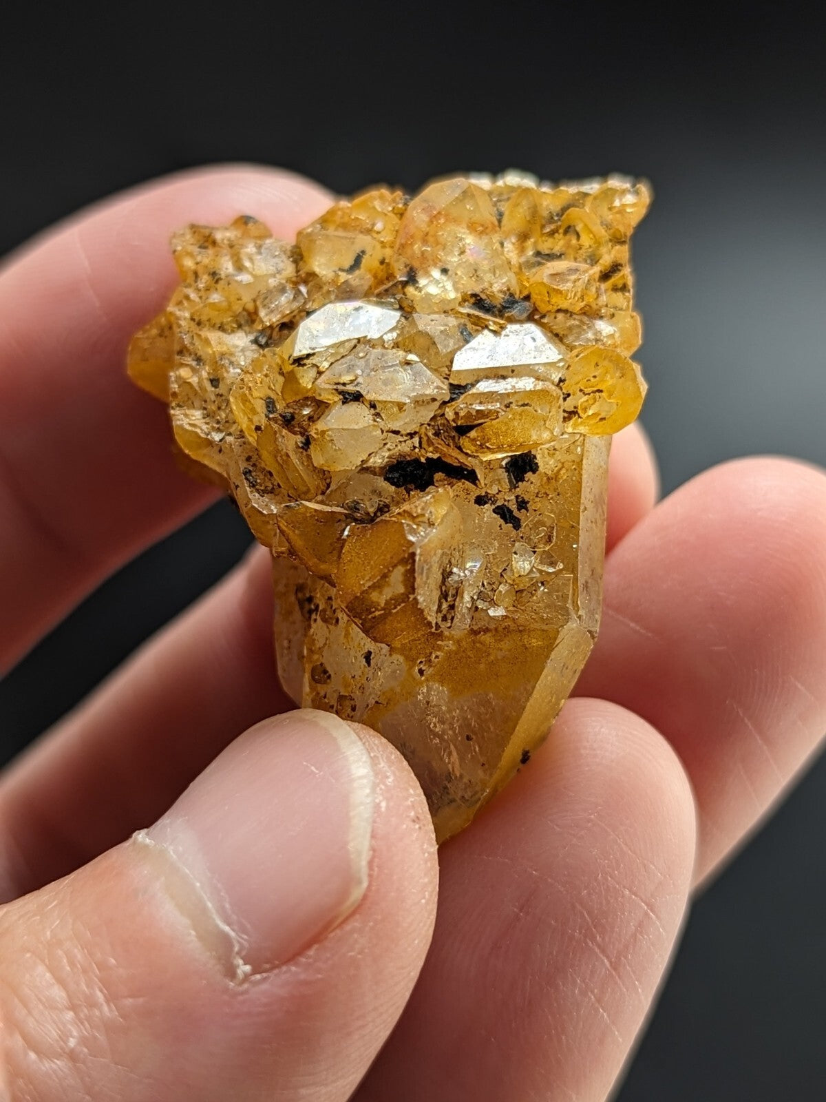A golden-yellow citrine crystal cluster with translucent, faceted points and embedded dark inclusions.