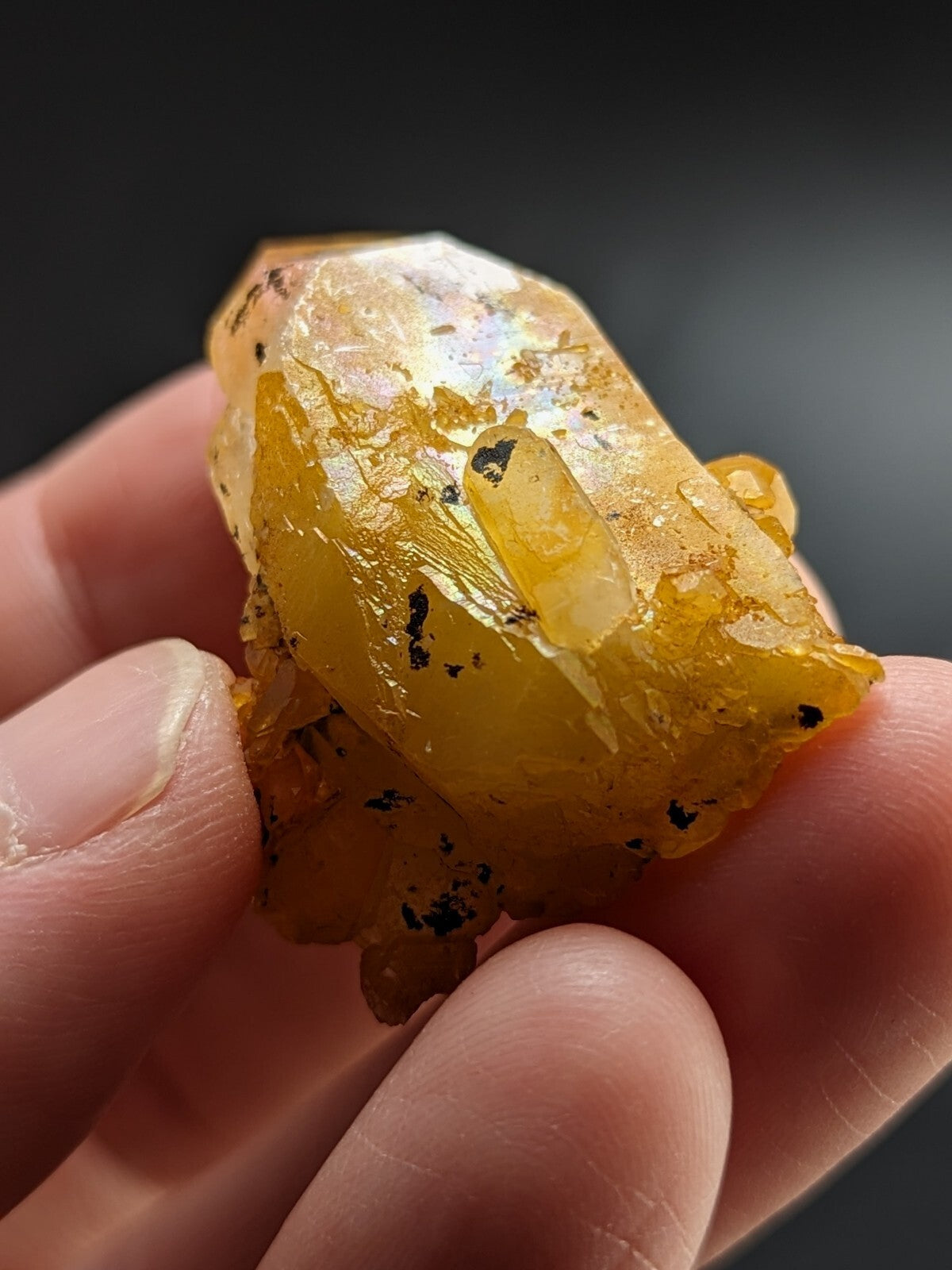 A translucent golden-yellow crystal with black inclusions, held gently between fingers.