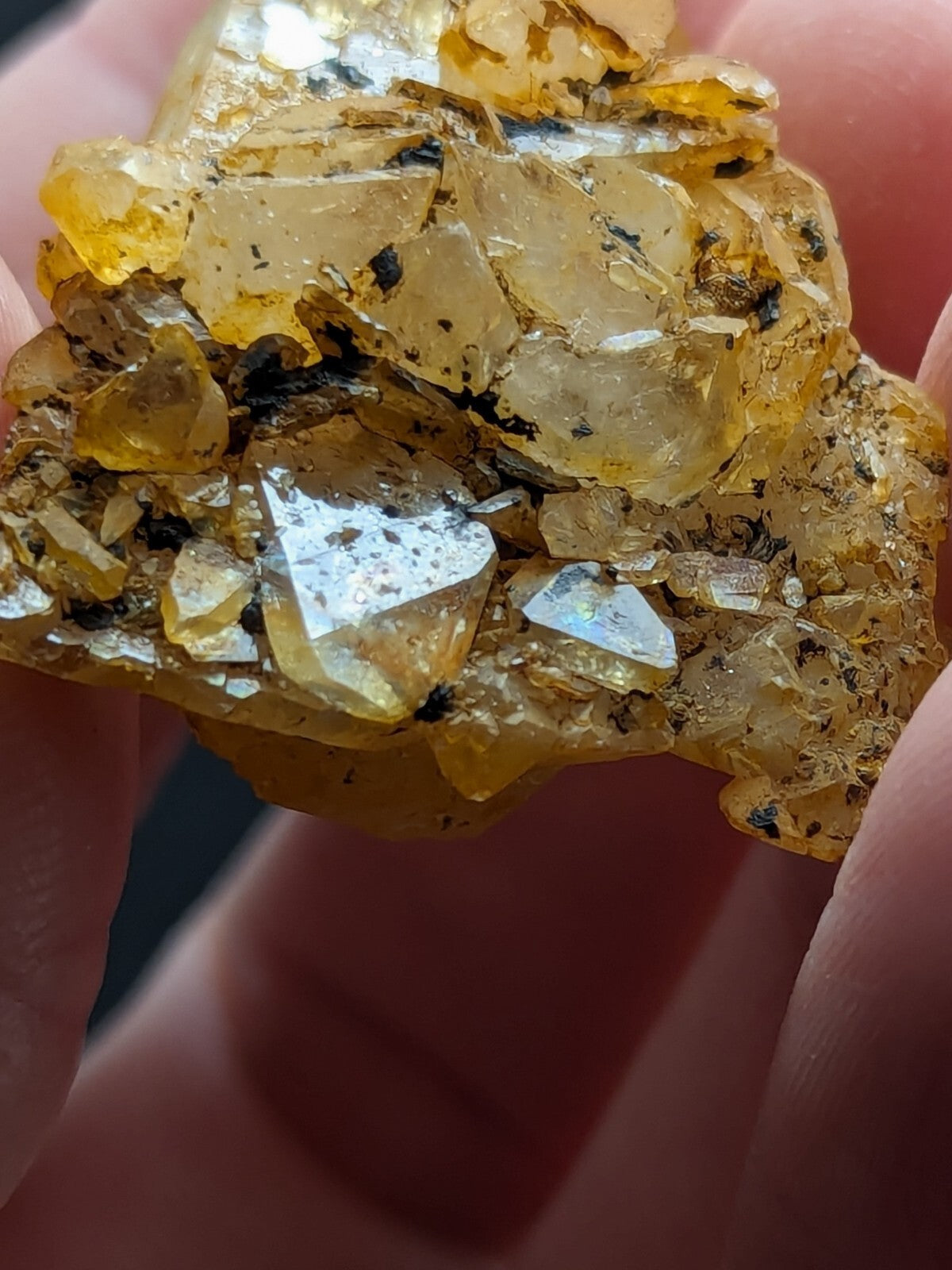 A cluster of translucent golden-yellow crystals with dark inclusions, held gently between fingers.