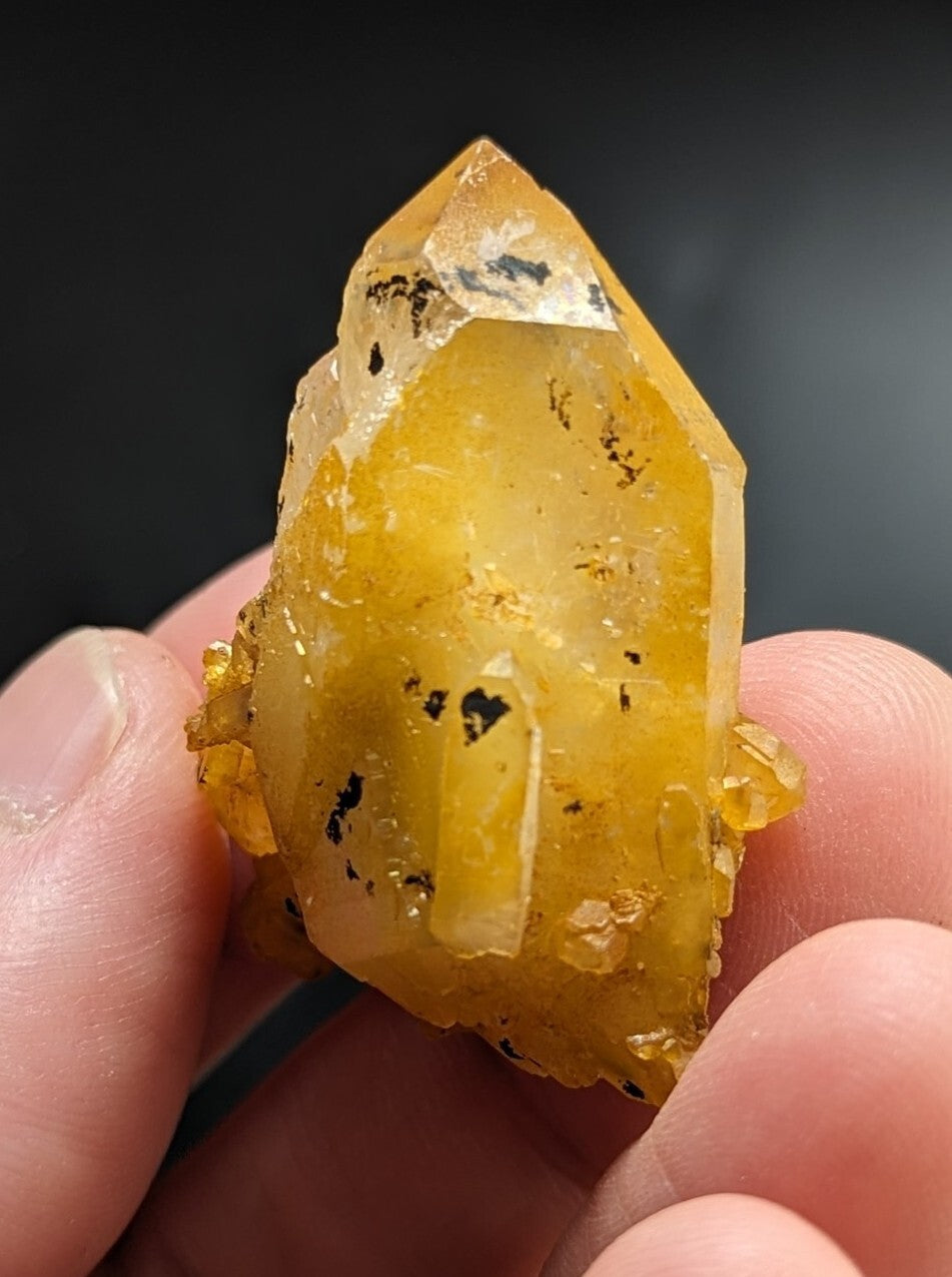 A translucent golden-yellow crystal with black inclusions, held gently between fingers.