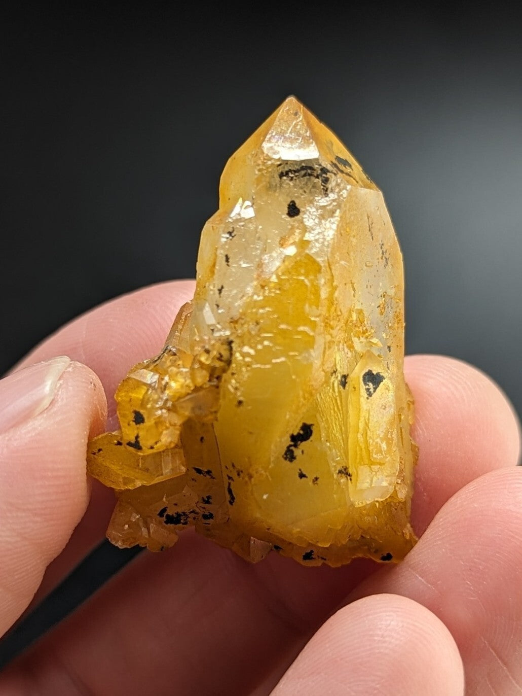 A translucent golden-yellow crystal with black inclusions, held gently between fingers.