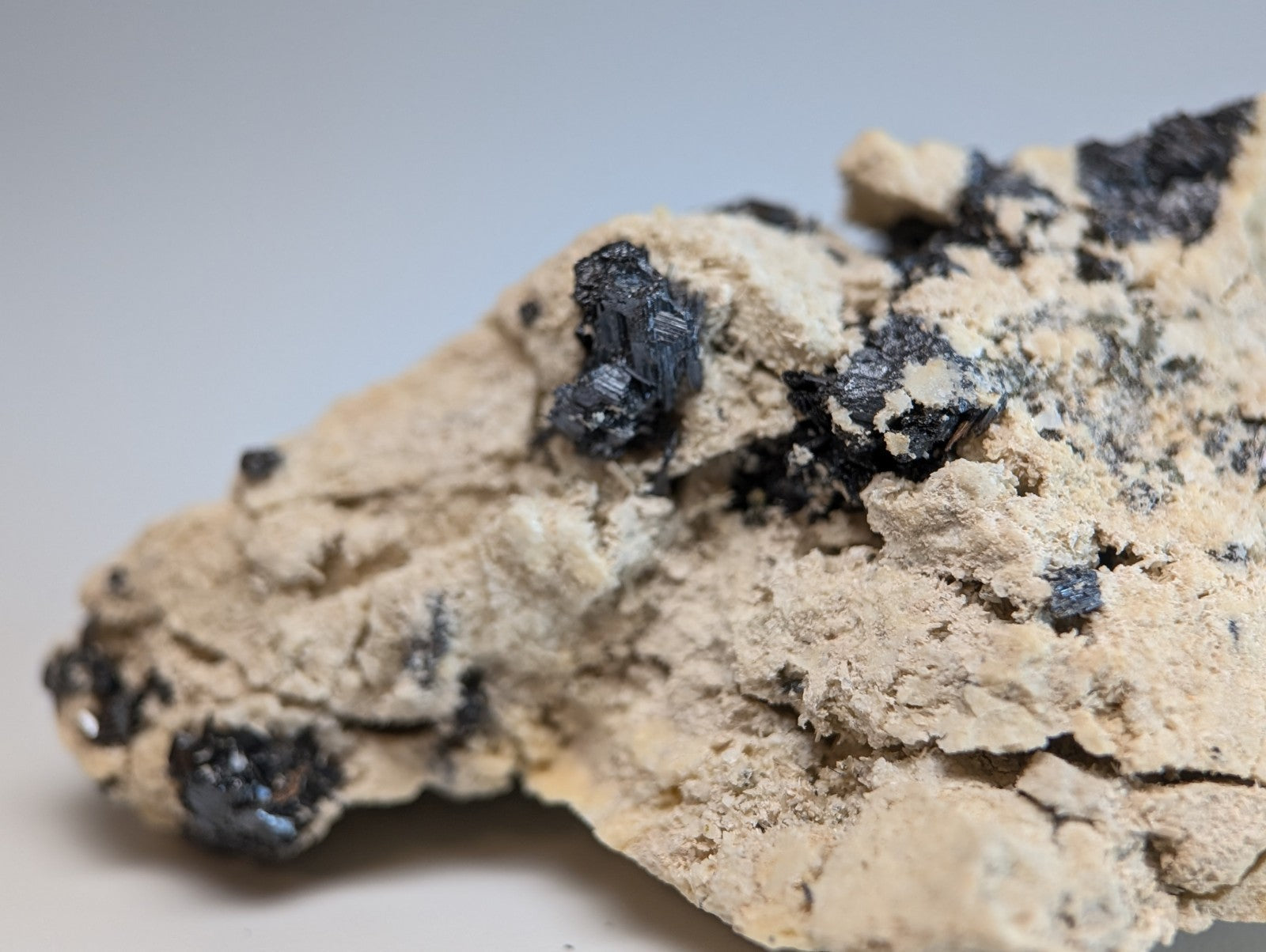 Rutile in matrix from magnet cove arkansas featuring a light beige rock with dark black crystalline inclusions cluster