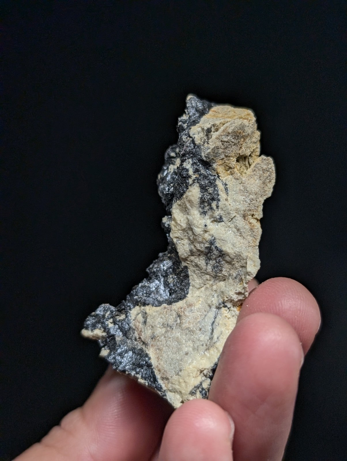 A rugged, irregularly shaped rock with a mottled pattern of dark gray and pale beige patches.