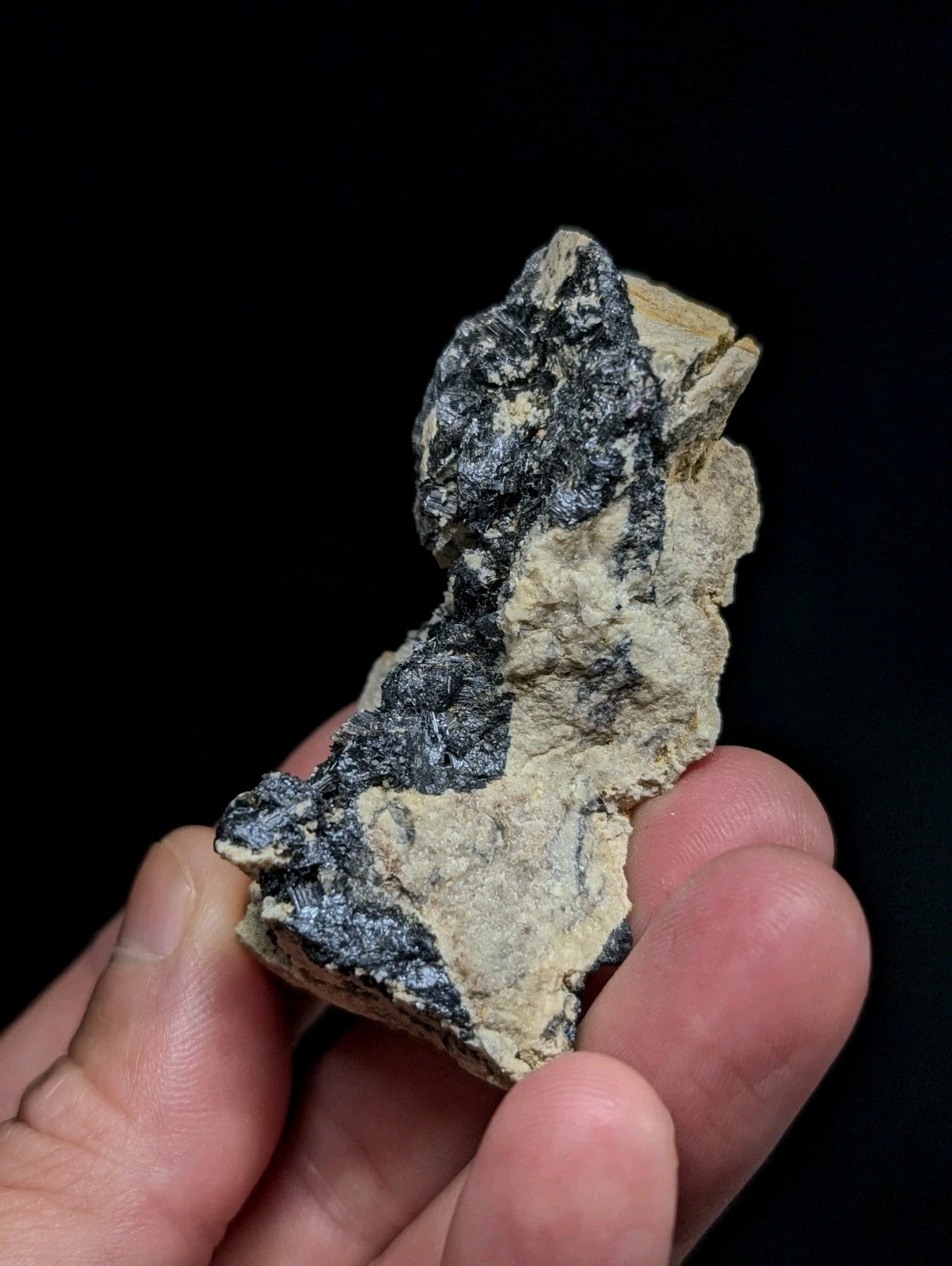 A hand holds a rough, irregularly shaped mineral specimen featuring contrasting dark gray and light beige sections with a textured, natural surface.