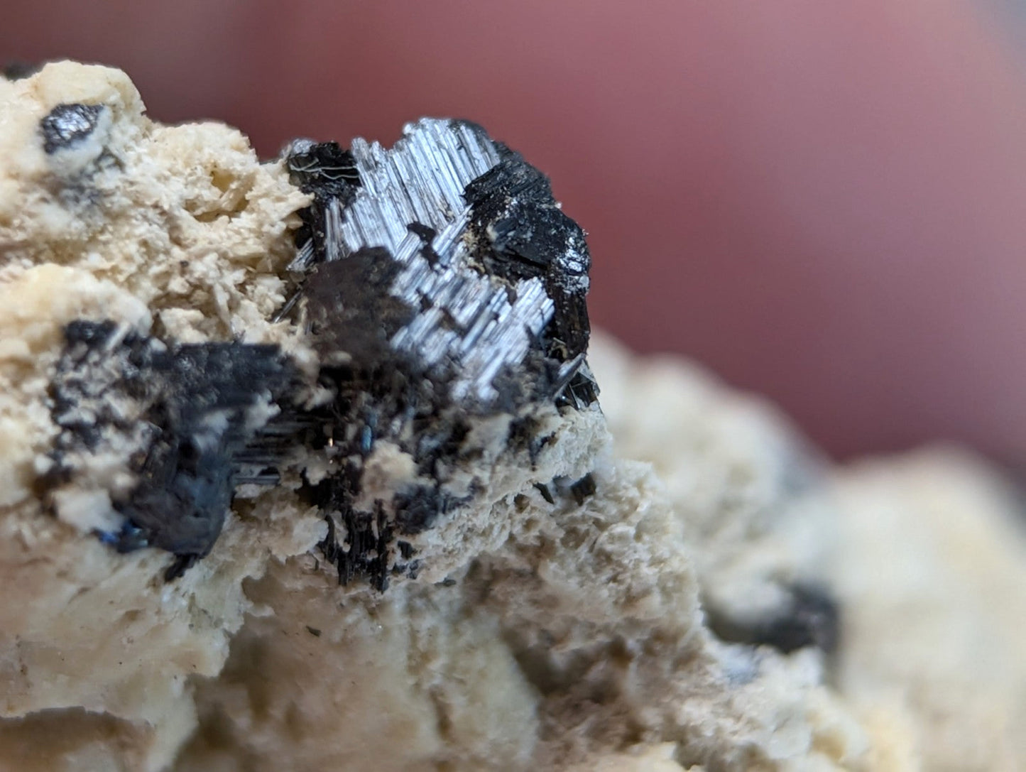 Black and silver metallic rutile crystals in light beige rock matrix rare cluster from magnet cove arkansas