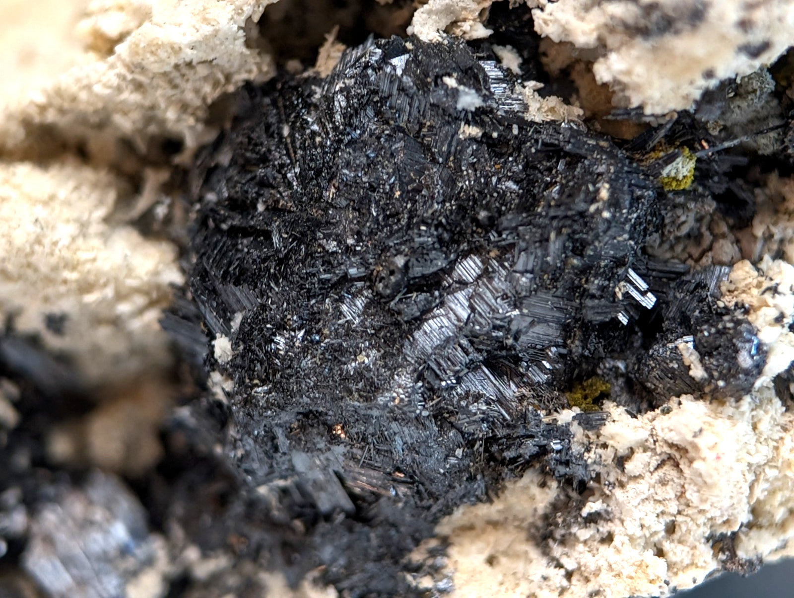 A cluster of black needle-like rutile crystals in a light rock matrix from Magnet Cove Arkansas super rare old stock