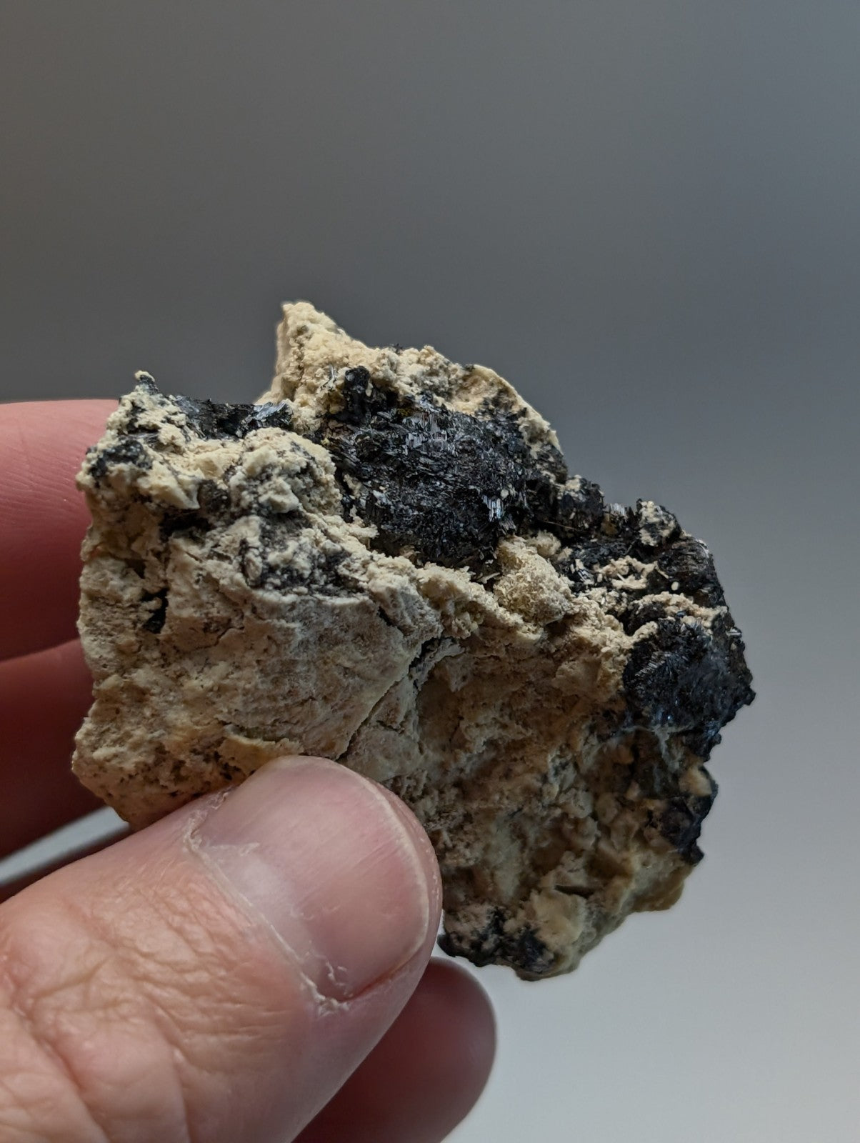 A rugged rutile in matrix mineral cluster with black and beige colors from magnet cove arkansas held between fingers