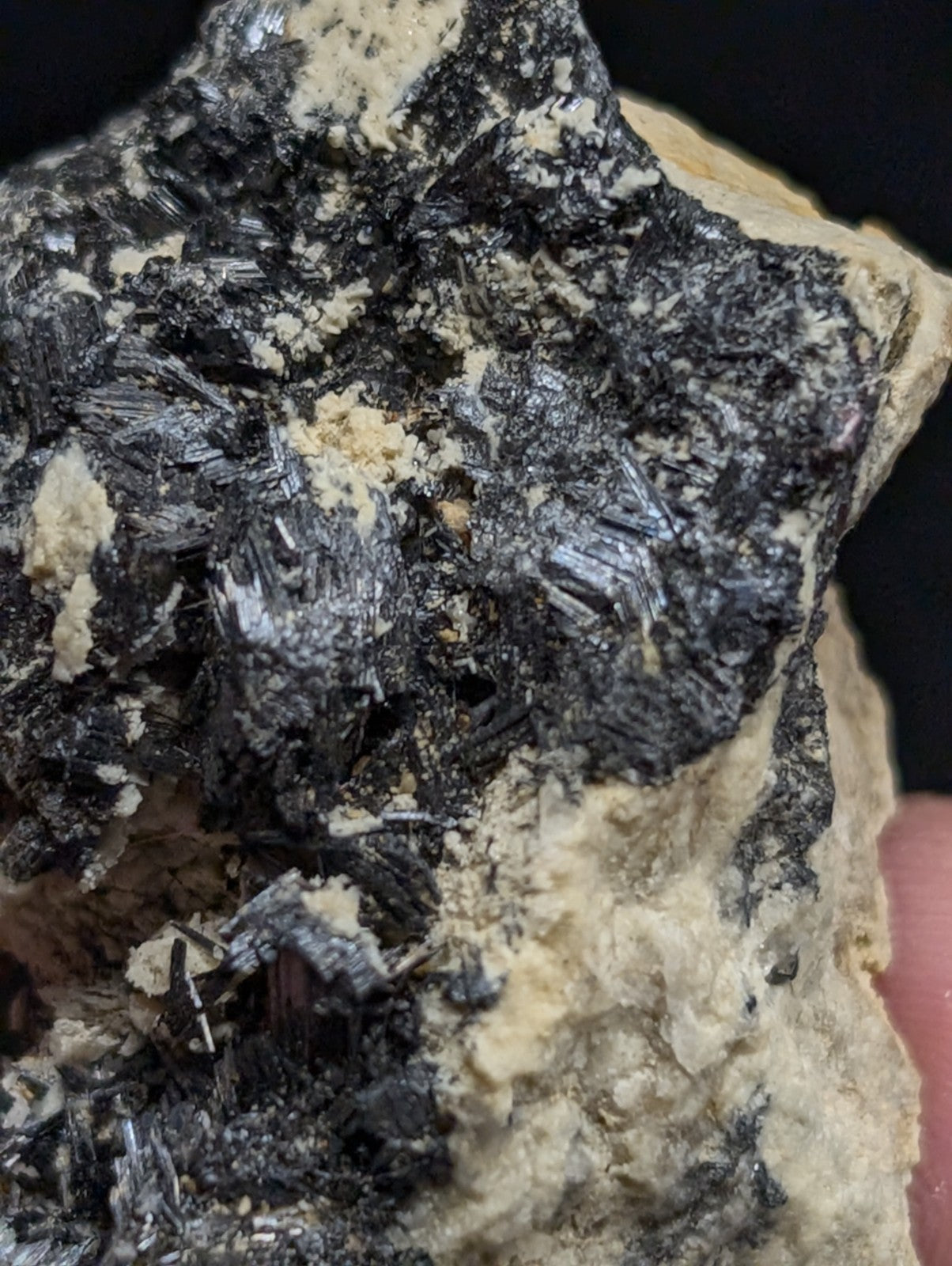 A rugged black and beige mineral specimen featuring sharp, crystalline formations embedded in a rough-textured matrix.