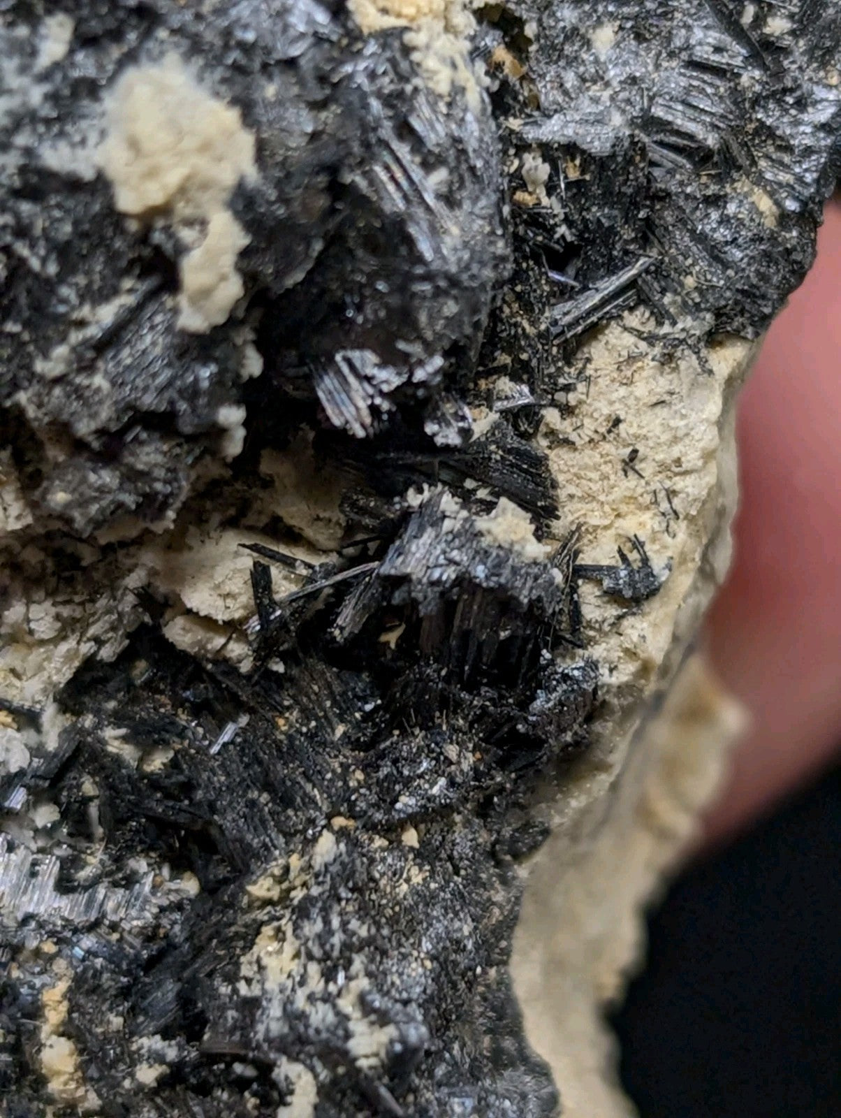 Black, needle-like crystals embedded in a light beige rock matrix.