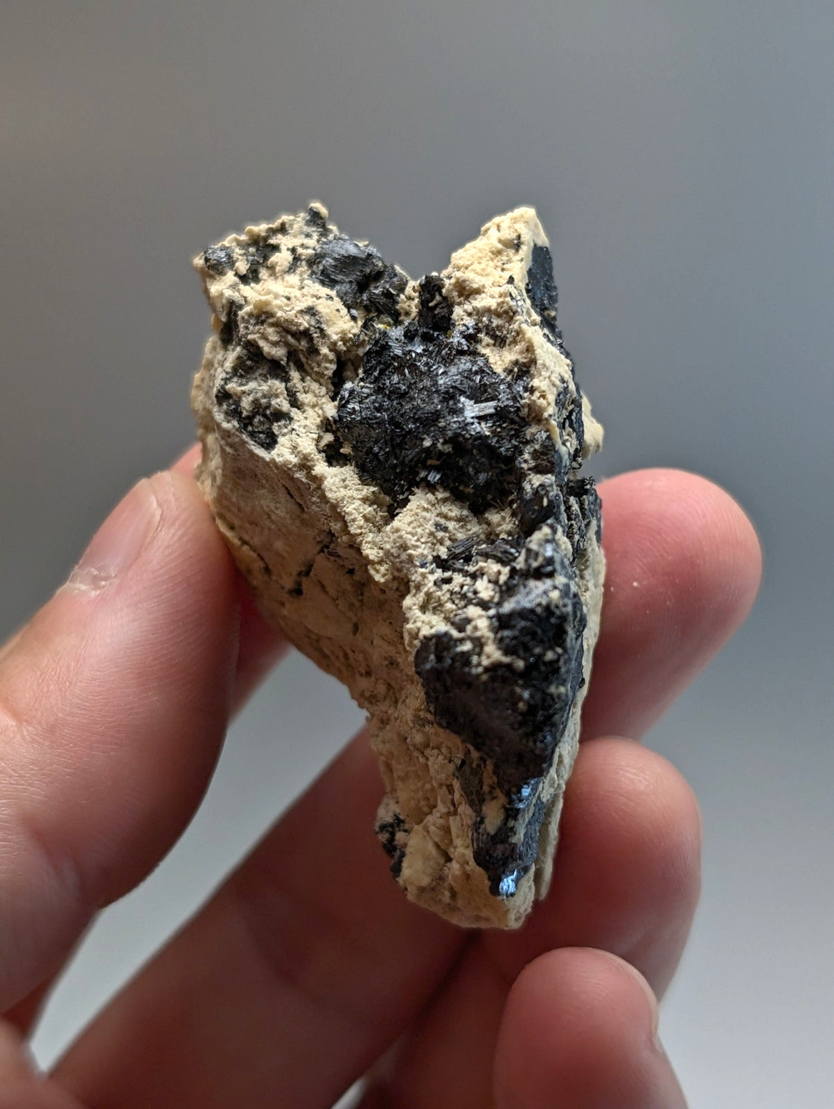 A hand holds a rough rutile mineral specimen with dark black crystals in a pale beige matrix from Magnet Cove Arkansas