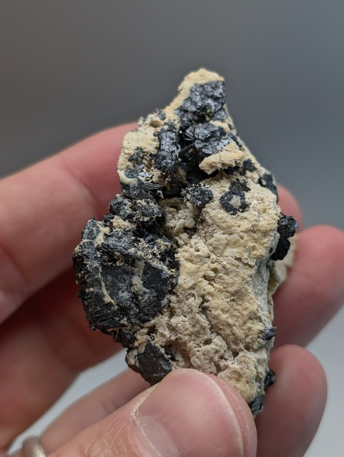 A hand holds a rutile in matrix mineral with dark black crystals in a pale beige matrix from Magnet Cove Arkansas