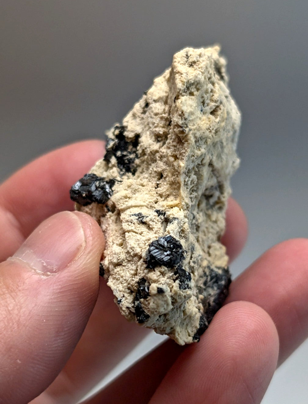 A rough light beige rutile in matrix rock with black mineral crystals from magnet cove arkansas beautiful cluster