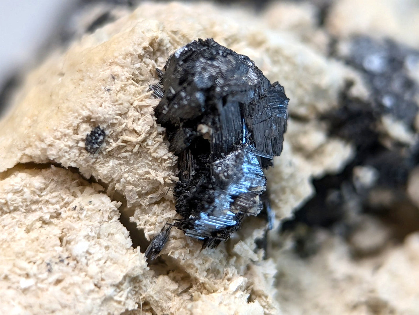 Rutile in matrix from magnet cove arkansas featuring a black mineral with iridescent blue streaks in beige rock