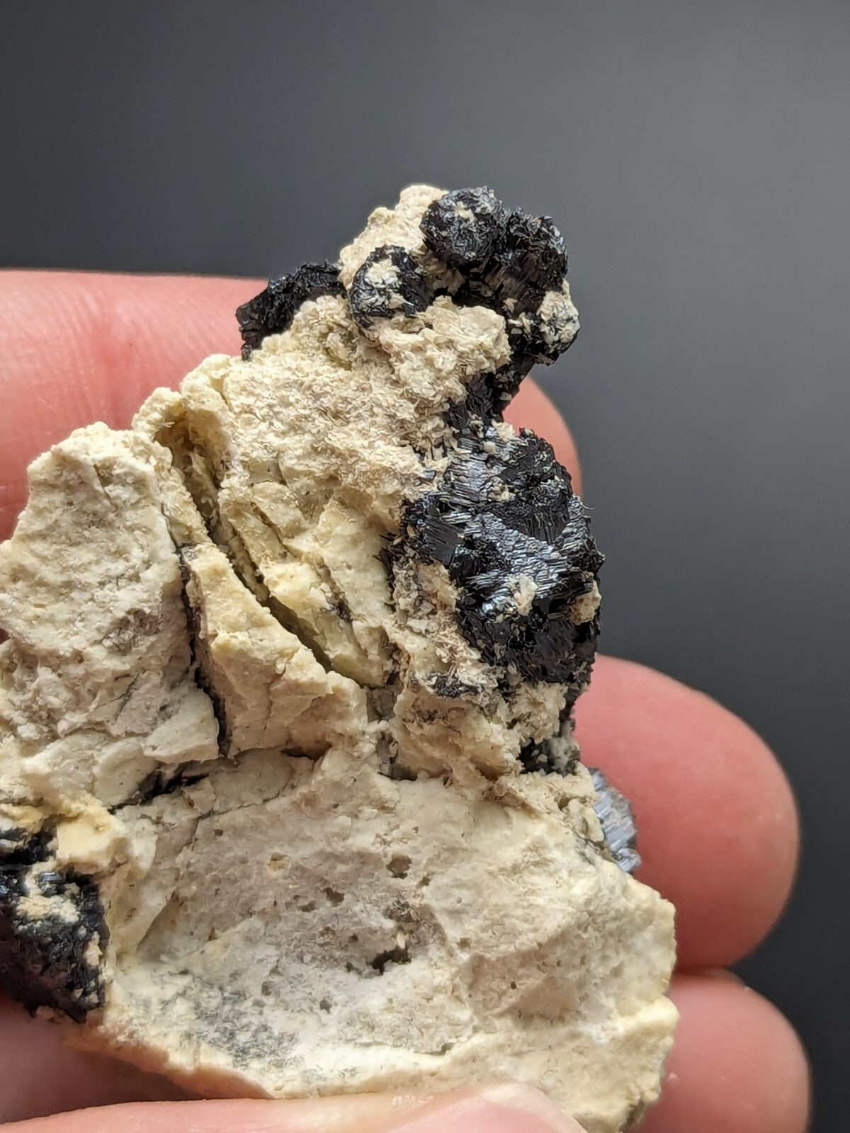 A hand holds a natural mineral specimen featuring contrasting black and off-white rock formations with rough, textured surfaces.