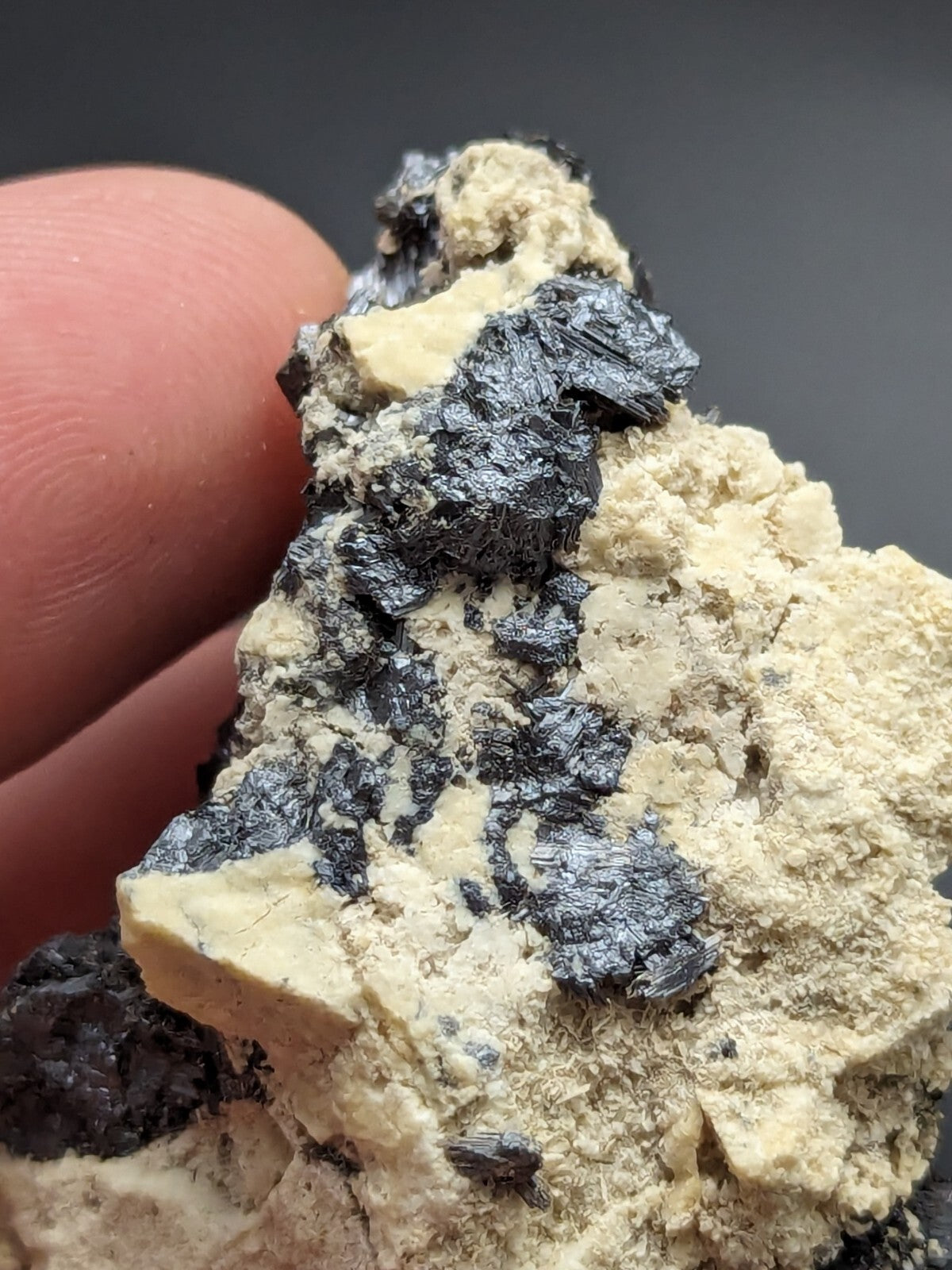 A hand holds a mineral specimen featuring dark, metallic-looking crystals embedded in a light beige matrix.