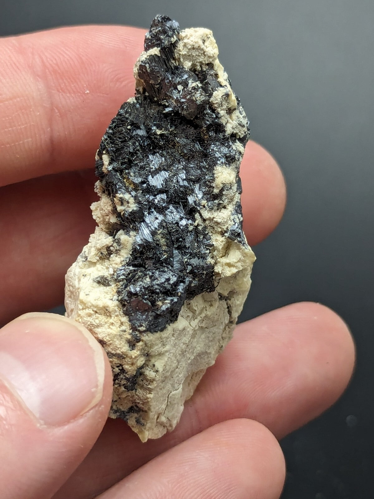 A hand holds a rough, irregularly shaped mineral specimen featuring dark black and metallic silver crystalline formations embedded in a light beige matrix.