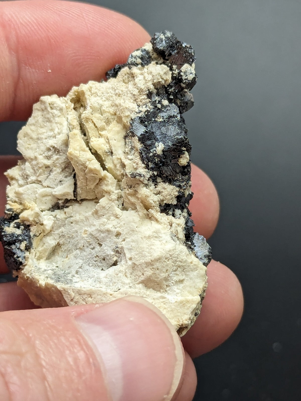 A hand holds a rough, irregularly shaped mineral specimen featuring contrasting black and off-white sections with visible crystalline textures.