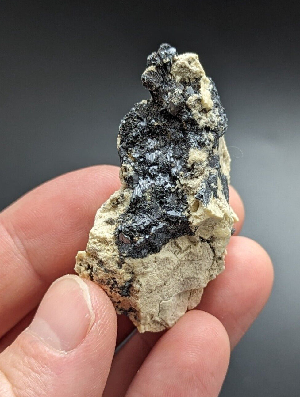 A hand holds a rough, irregularly shaped mineral specimen featuring dark metallic black crystals embedded in a pale beige matrix.