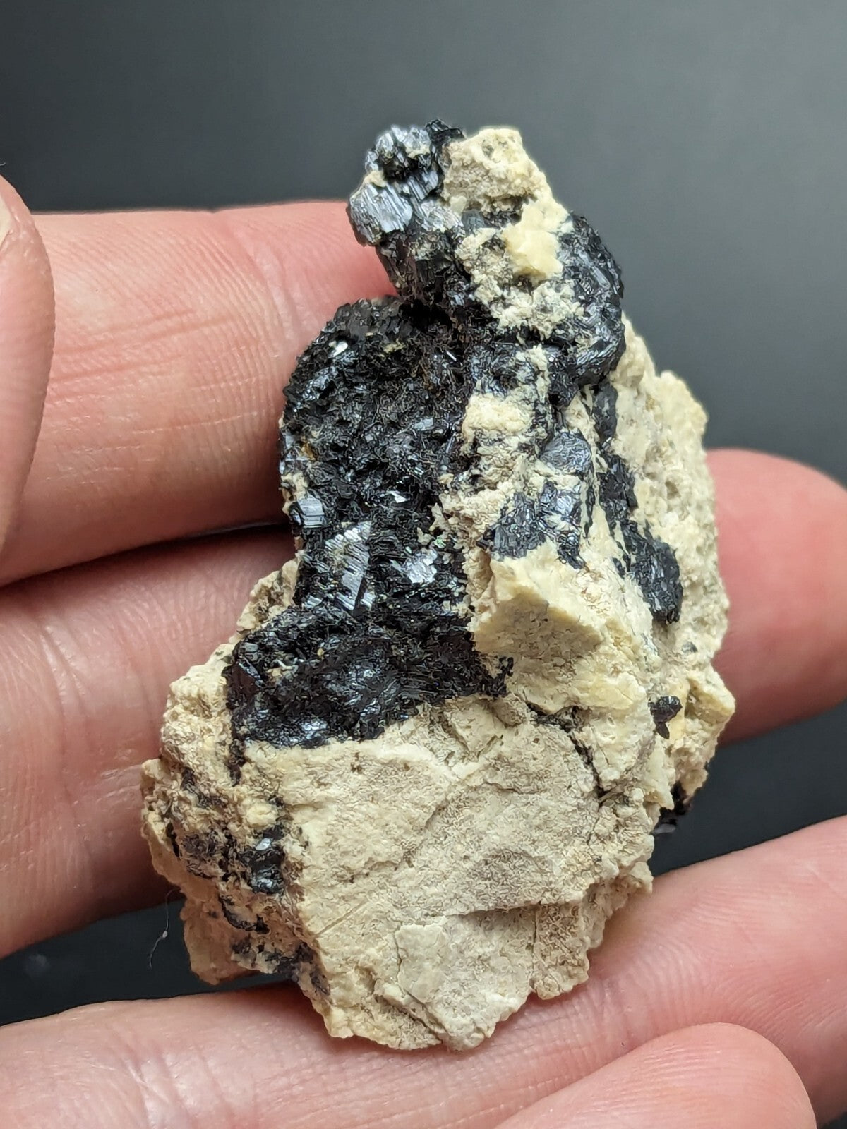 A hand holds a rough, irregularly shaped mineral specimen featuring dark metallic crystals embedded in a light beige matrix.